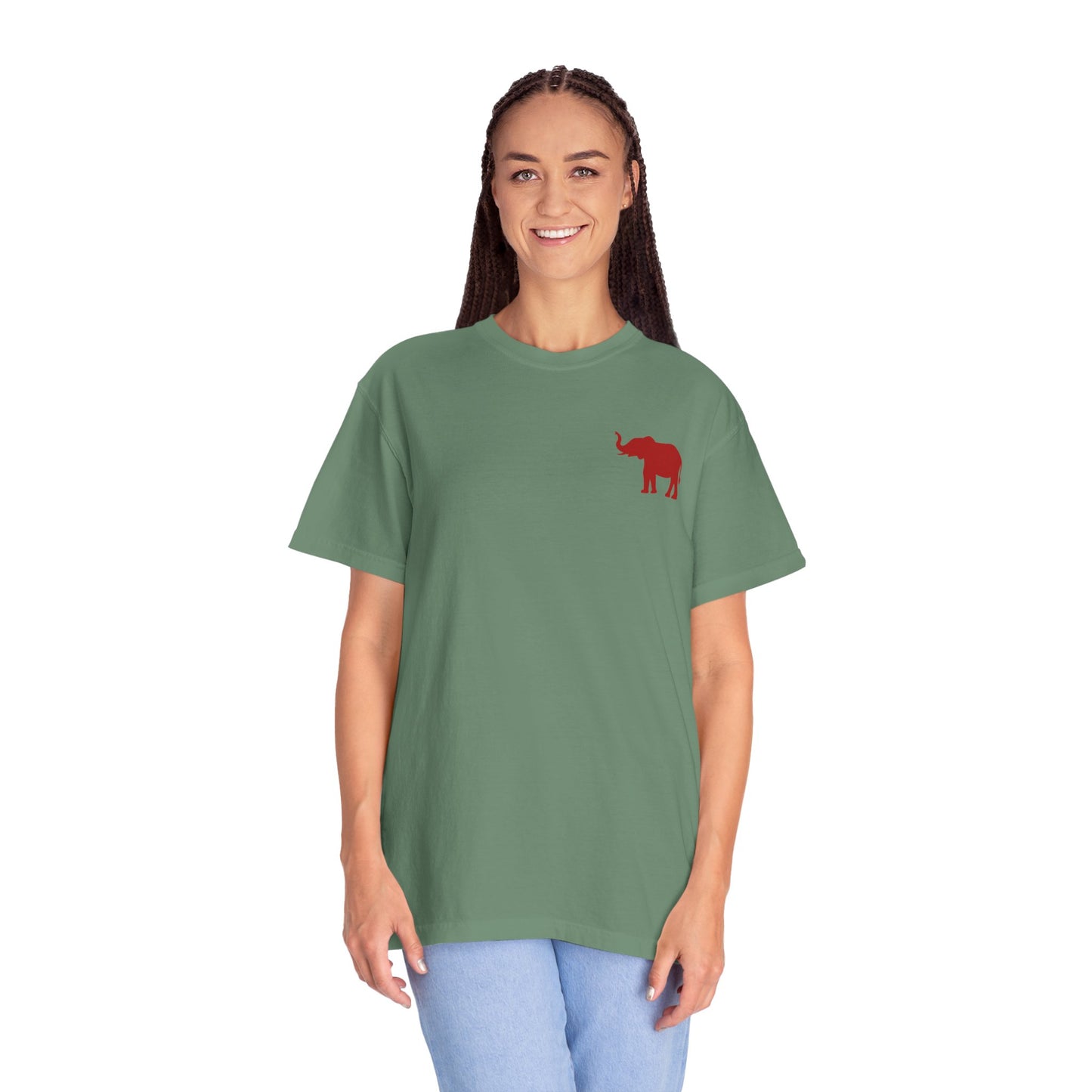 Comfort Colors Quad Alabama Tailgate Squad T-shirt