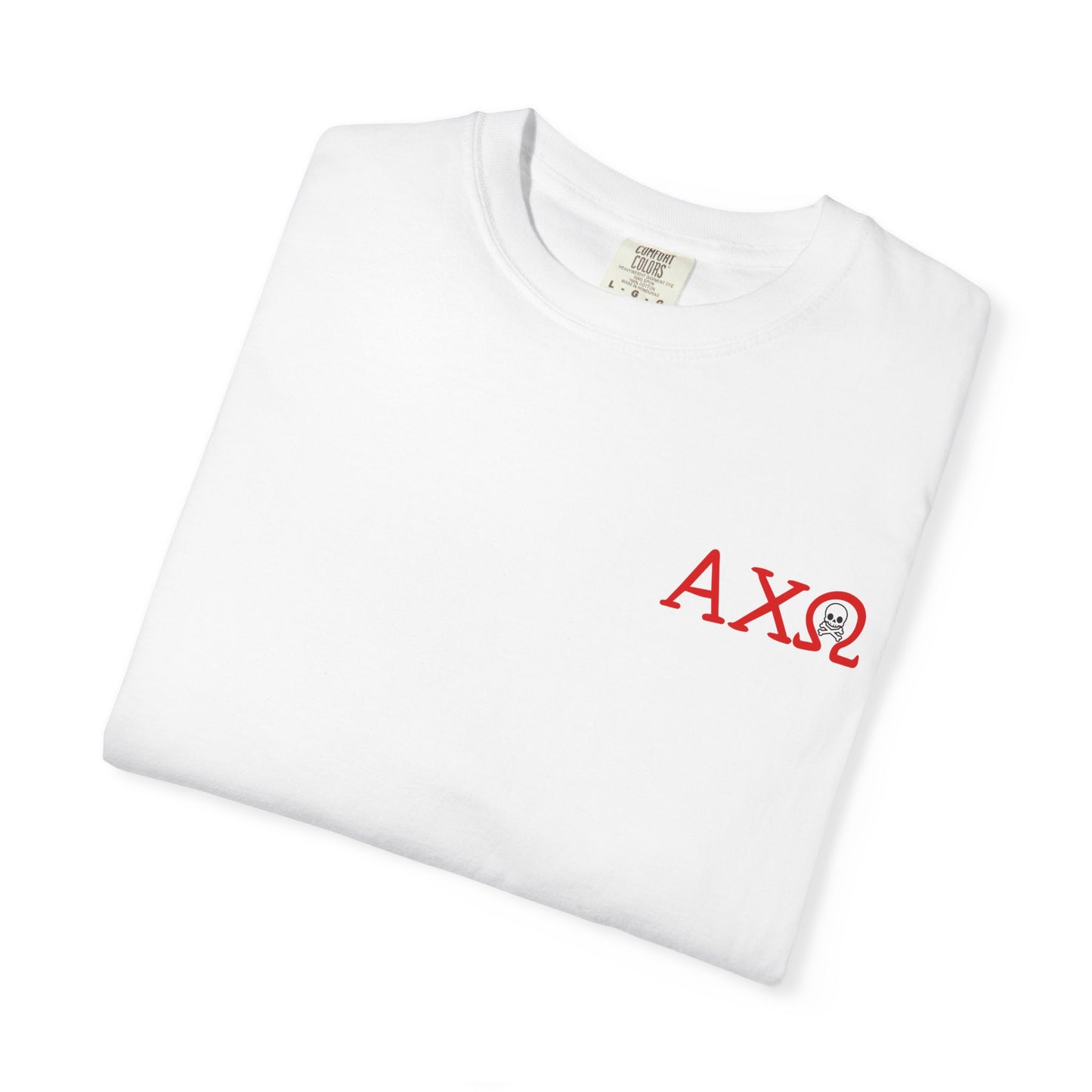 Alpha Chi Omega Garment-Dyed T-shirt, Unisex College Apparel, Sorority Shirt, Graduation Gift, Vintage Style Tee