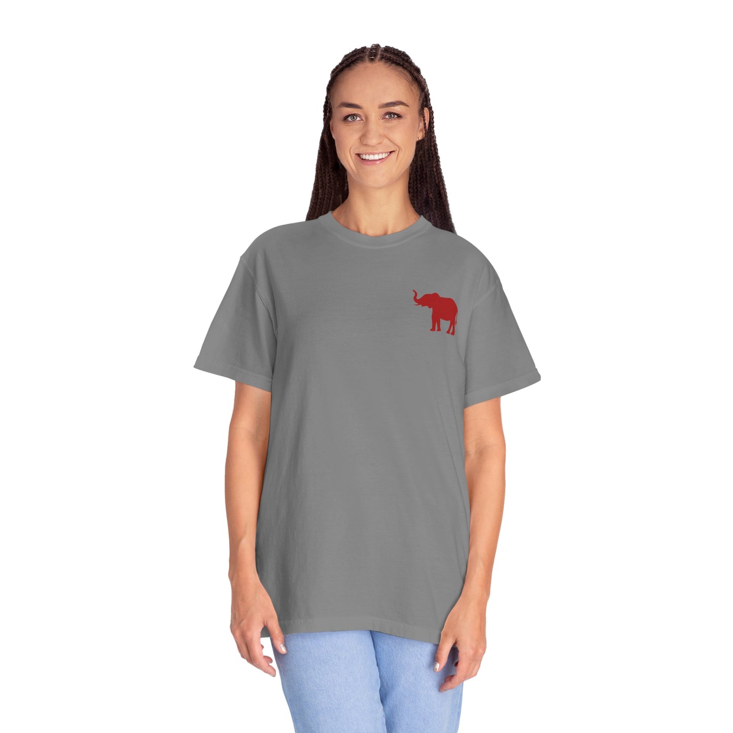 Comfort Colors Quad Alabama Tailgate Squad T-shirt