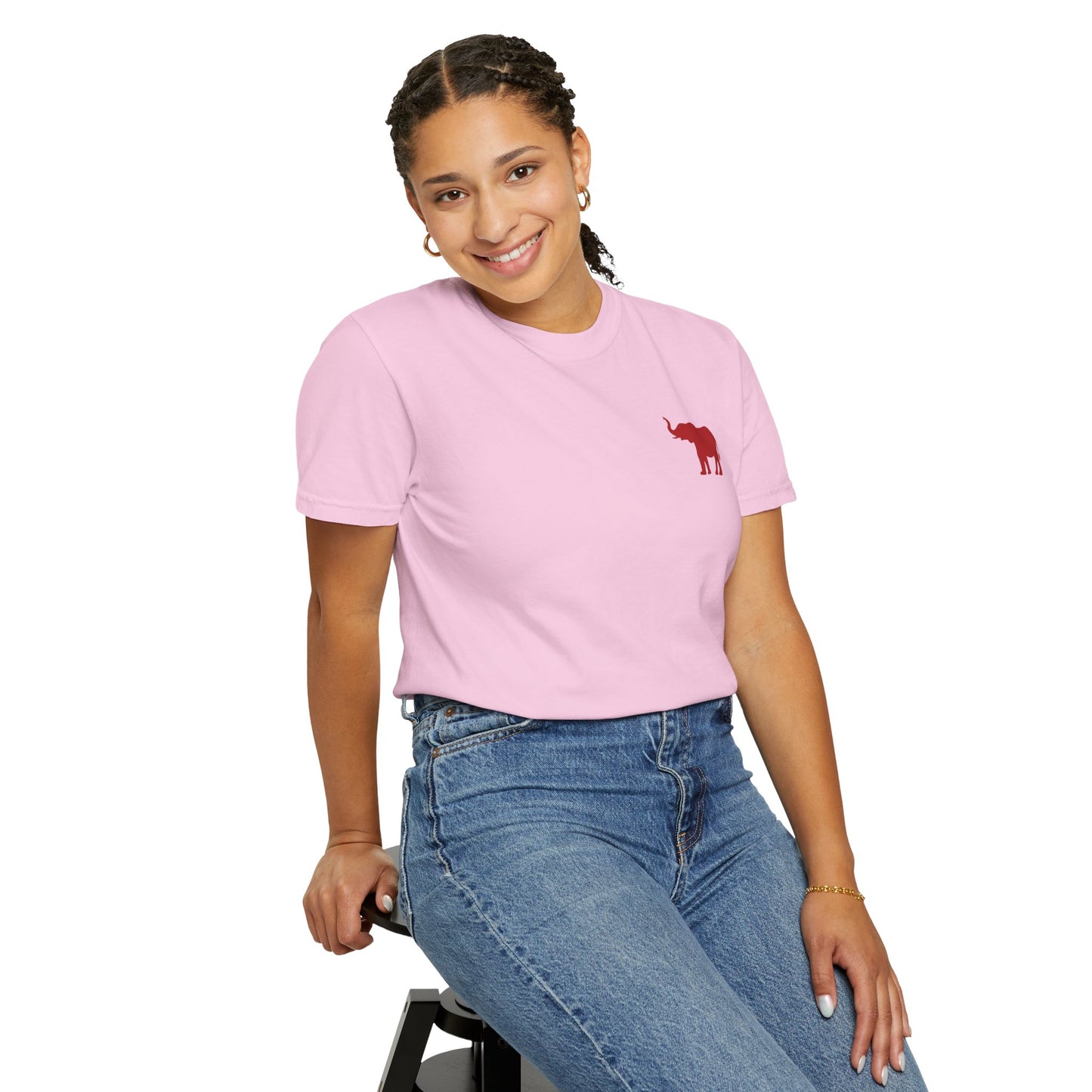 Comfort Colors Quad Alabama Tailgate Squad T-shirt