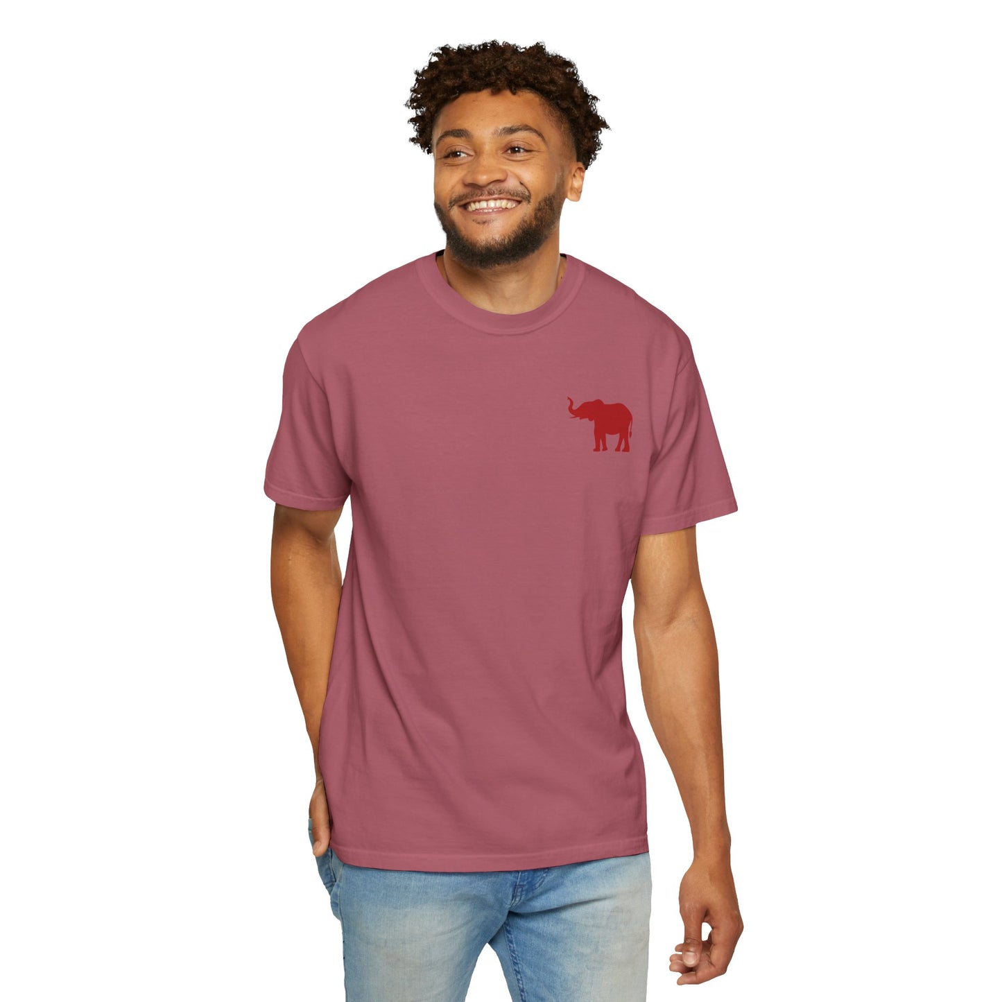Comfort Colors Quad Alabama Tailgate Squad T-shirt