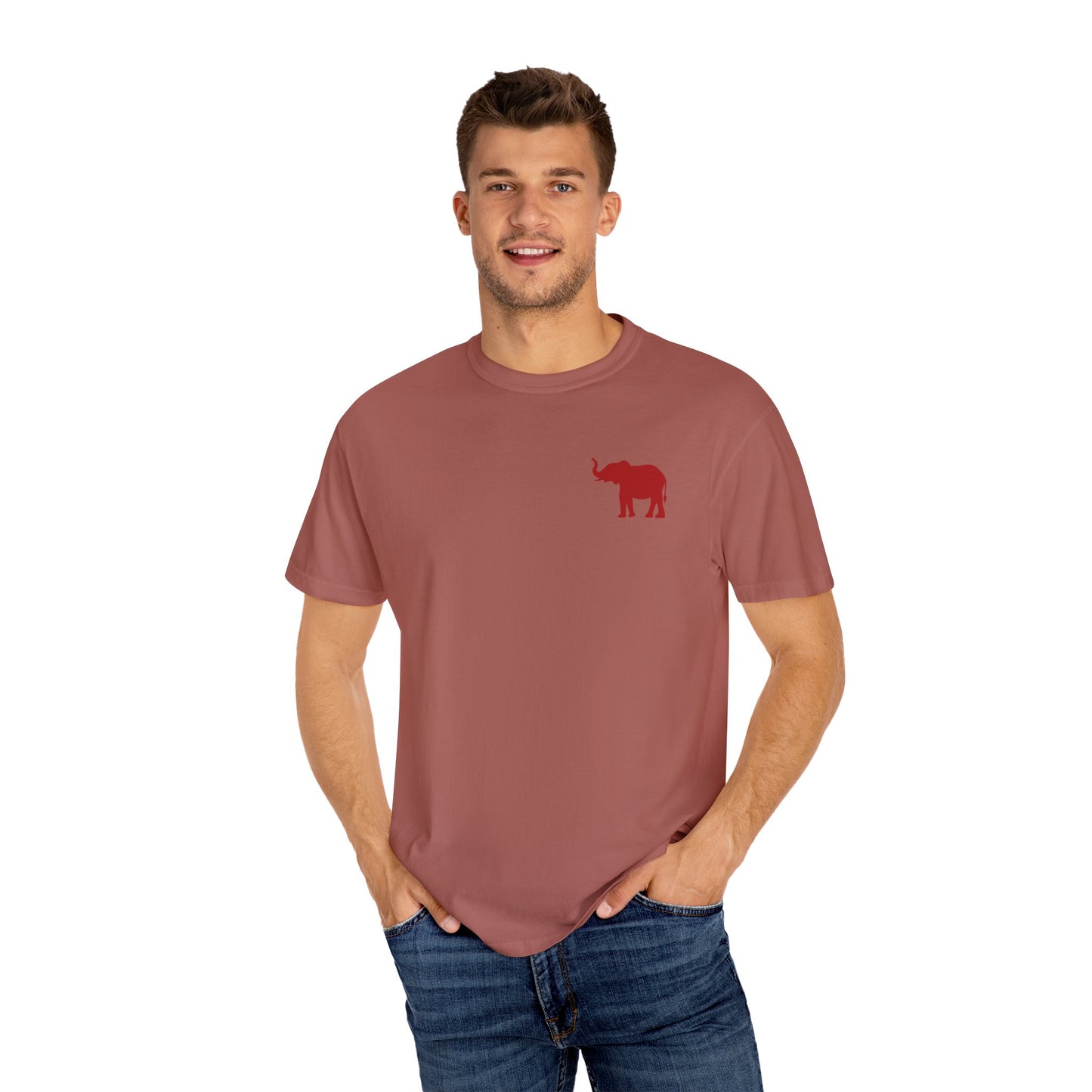 Comfort Colors Quad Alabama Tailgate Squad T-shirt