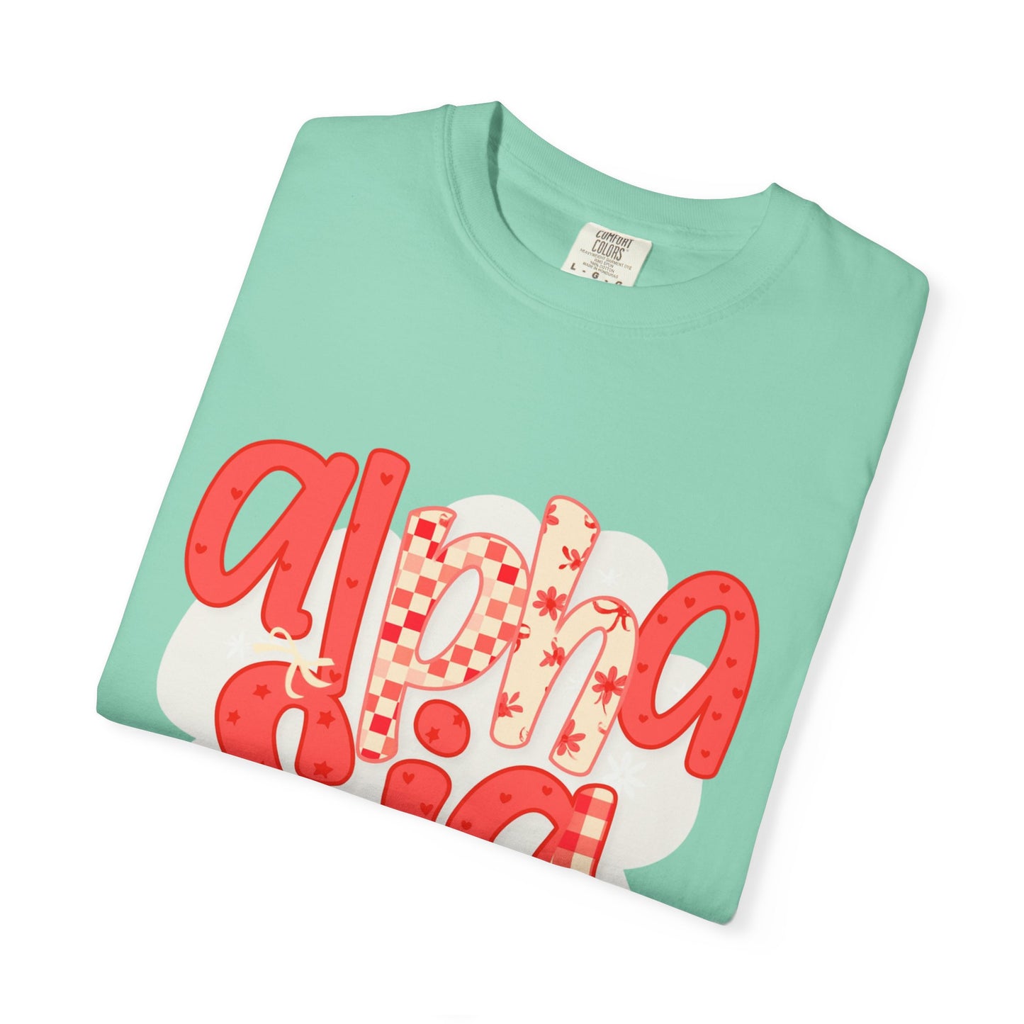 ASig Garment-Dyed T-Shirt