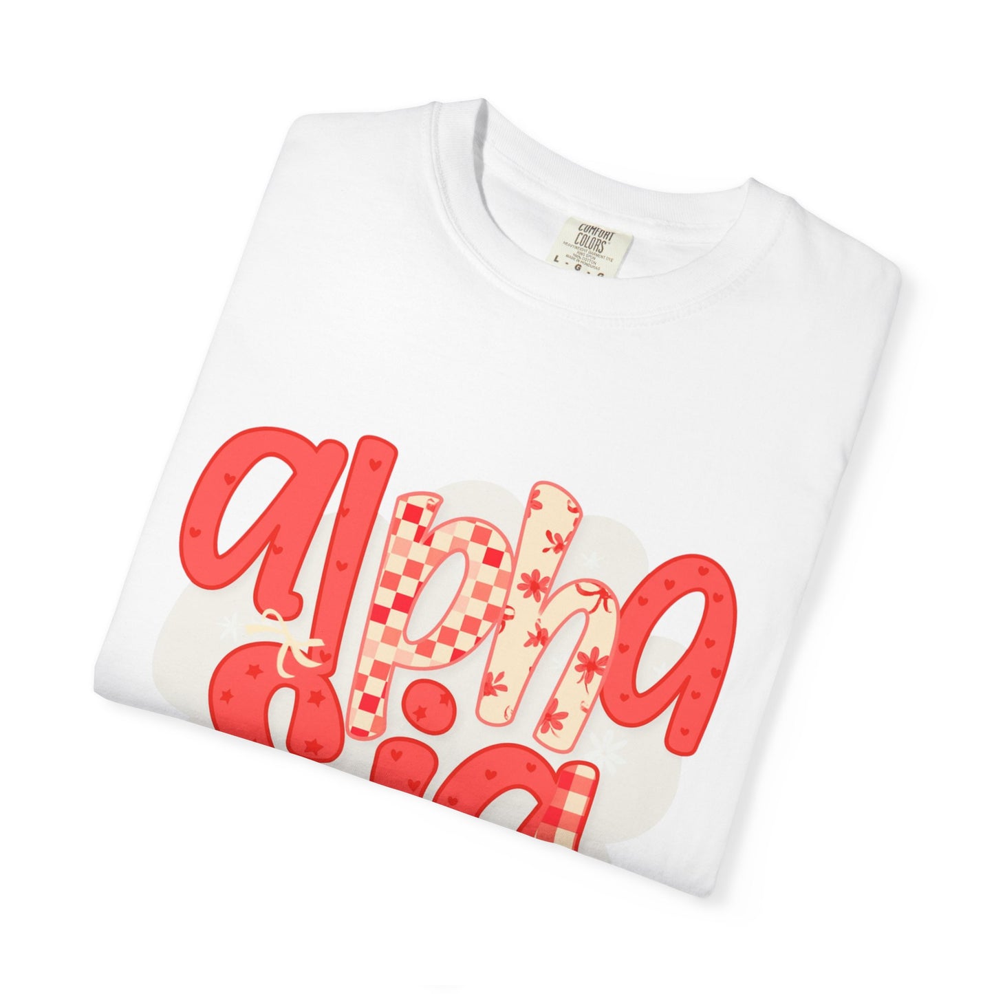 ASig Garment-Dyed T-Shirt