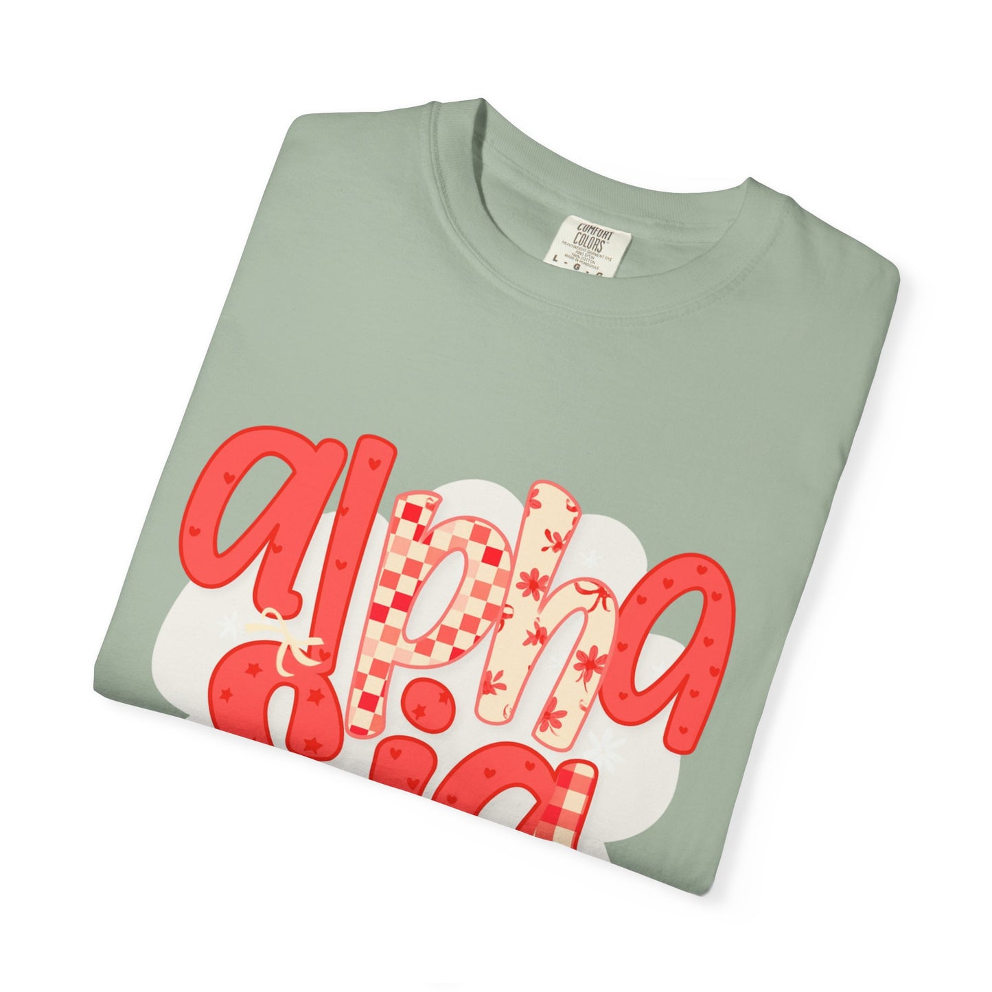 ASig Garment-Dyed T-Shirt