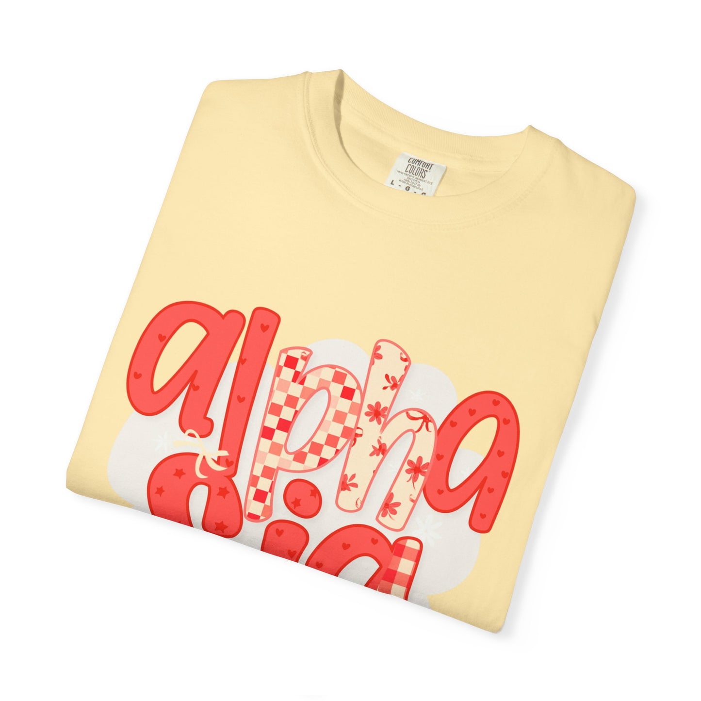 ASig Garment-Dyed T-Shirt