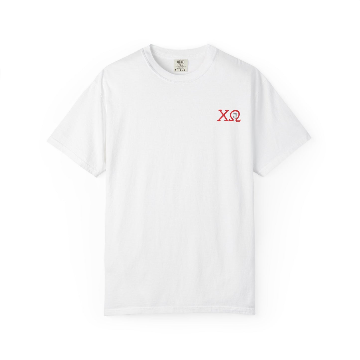 Chi Omega Sister T-Shirt, Sorority Apparel, College Tee, Garment-Dyed Shirt, Greek Life Merchandise, Casual Wear