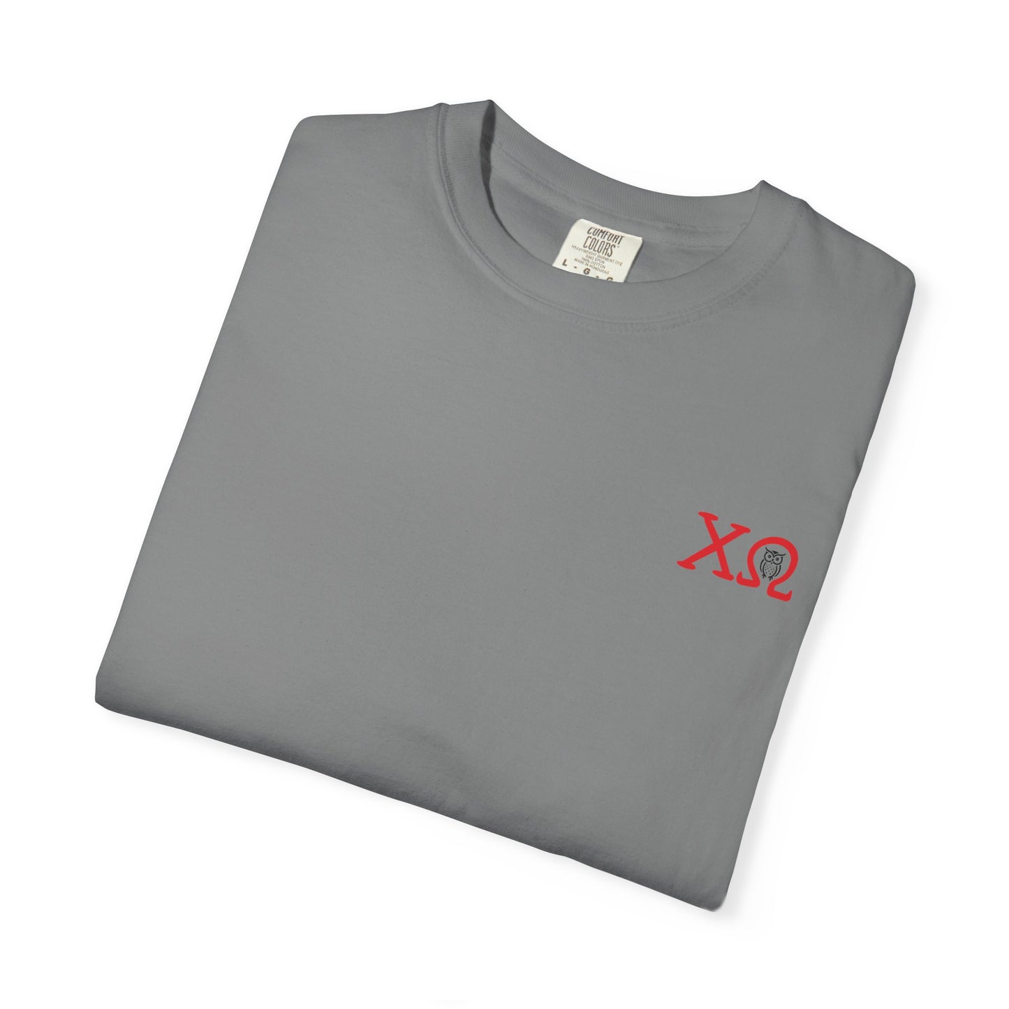 Chi Omega Sister T-Shirt, Sorority Apparel, College Tee, Garment-Dyed Shirt, Greek Life Merchandise, Casual Wear