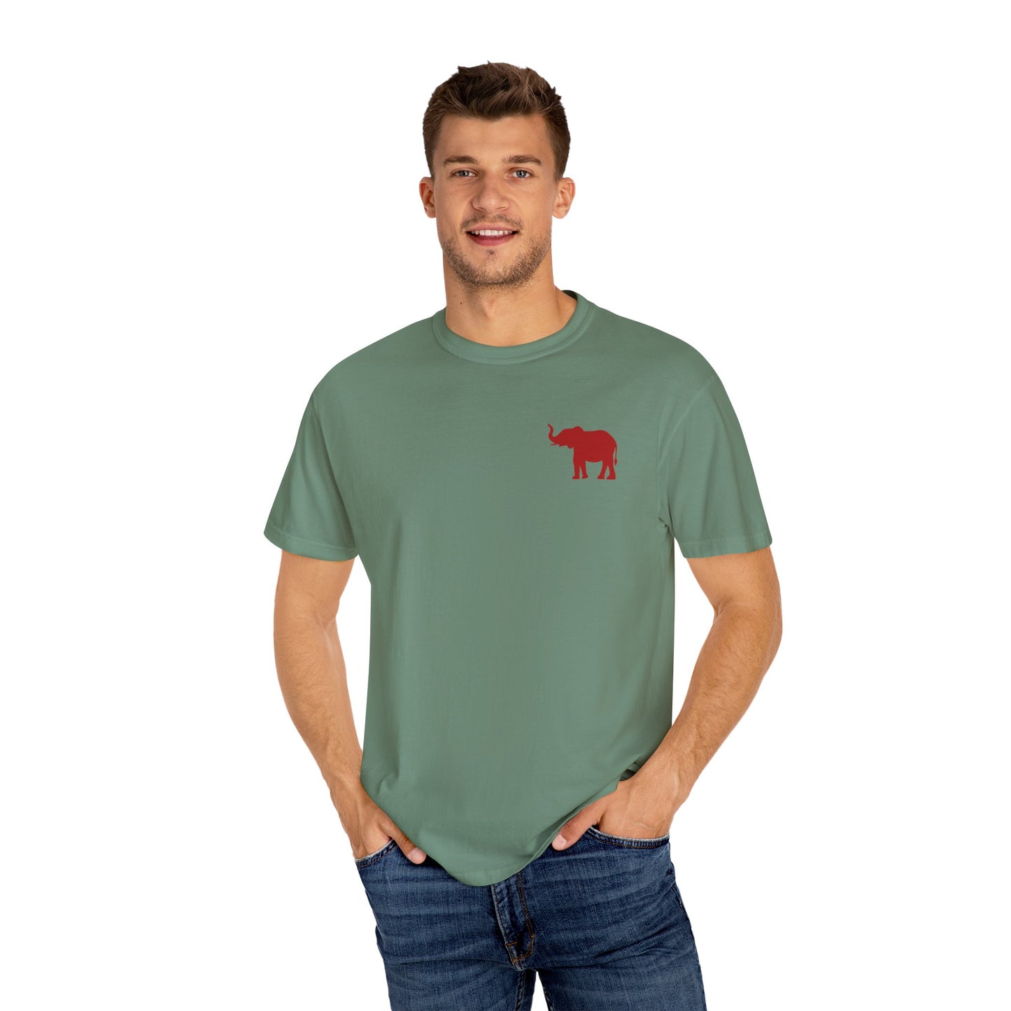 Comfort Colors Quad Alabama Tailgate Squad T-shirt