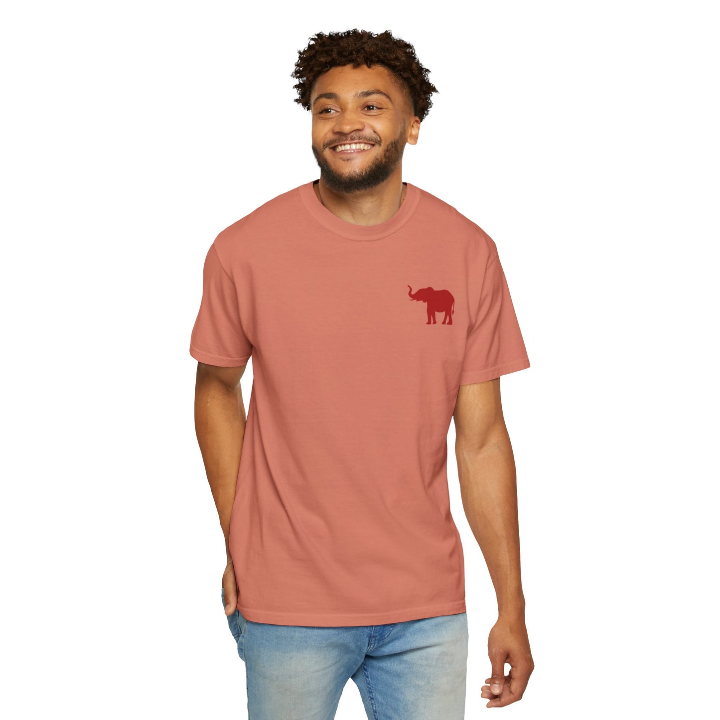 Comfort Colors Quad Alabama Tailgate Squad T-shirt
