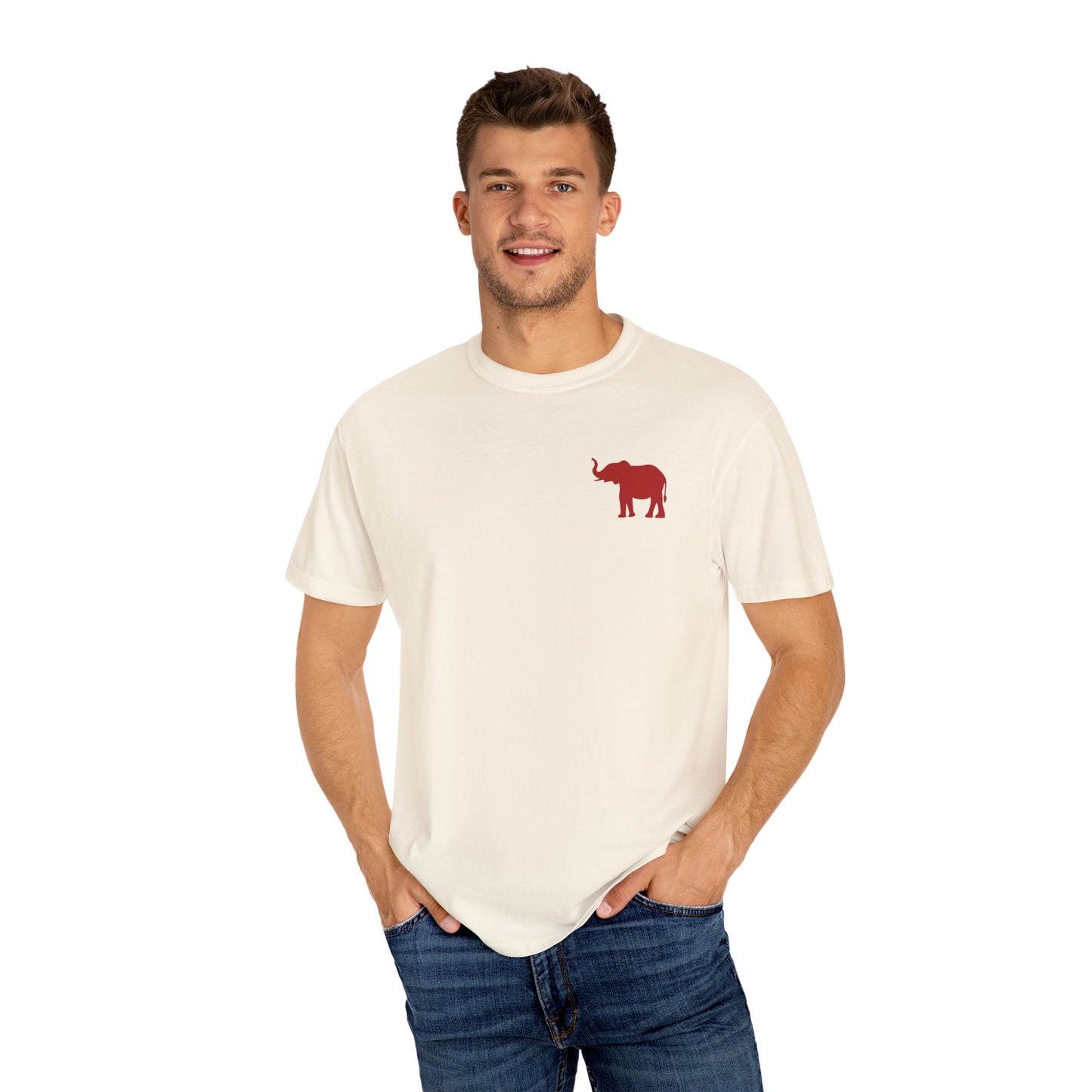 Comfort Colors Quad Alabama Tailgate Squad T-shirt