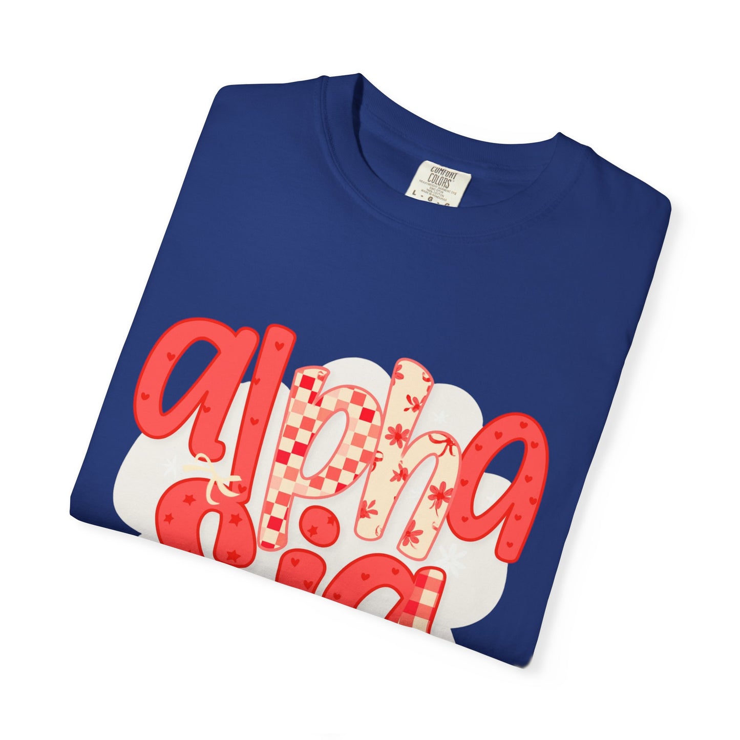 ASig Garment-Dyed T-Shirt