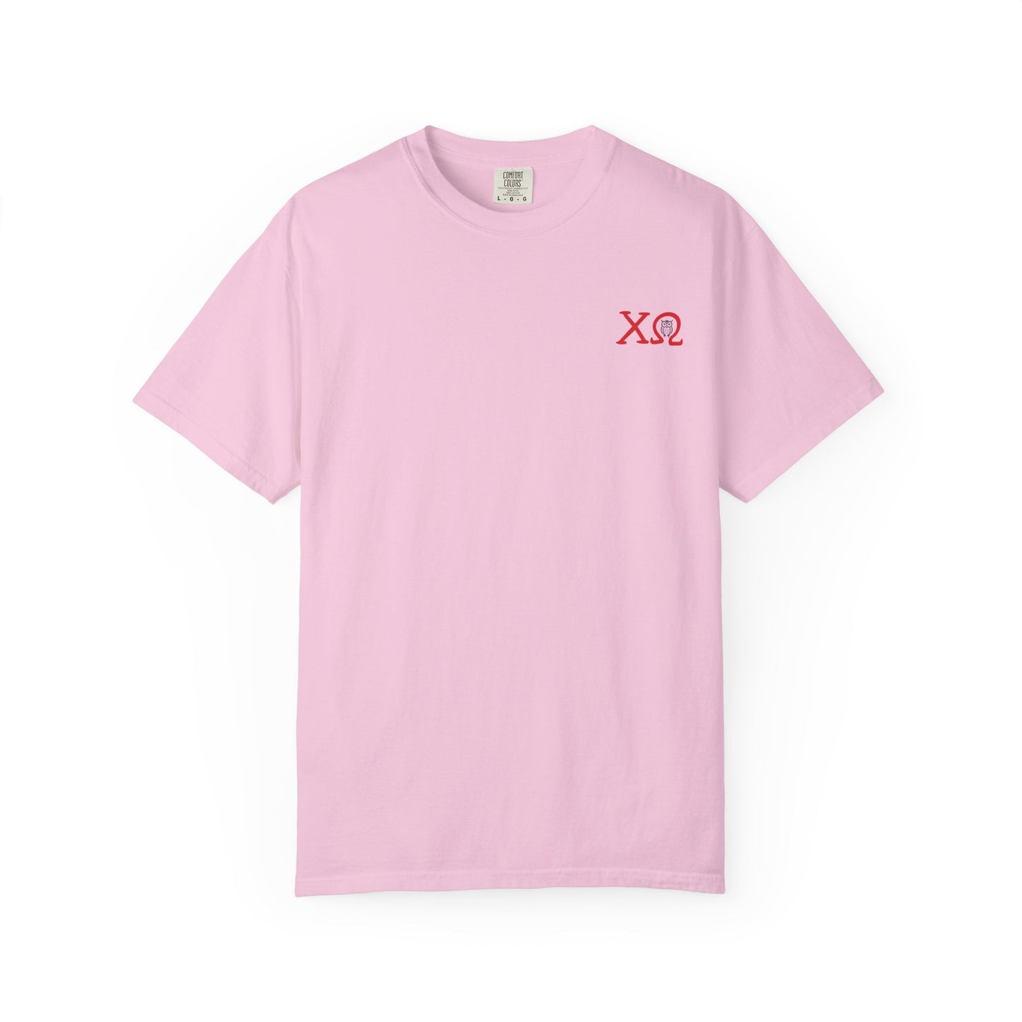 Chi Omega Sister T-Shirt, Sorority Apparel, College Tee, Garment-Dyed Shirt, Greek Life Merchandise, Casual Wear