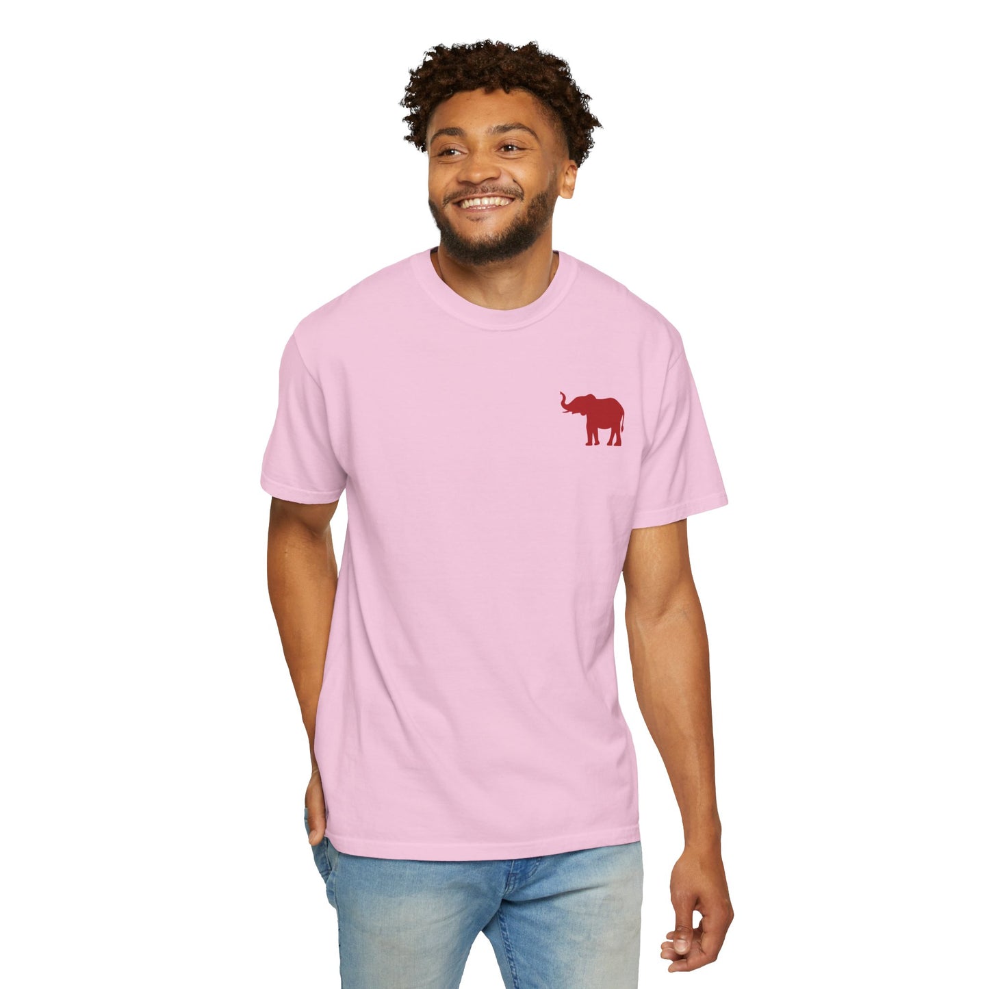 Comfort Colors Quad Alabama Tailgate Squad T-shirt