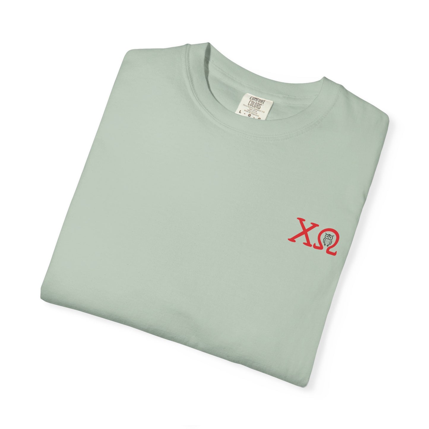 Chi Omega Sister T-Shirt, Sorority Apparel, College Tee, Garment-Dyed Shirt, Greek Life Merchandise, Casual Wear
