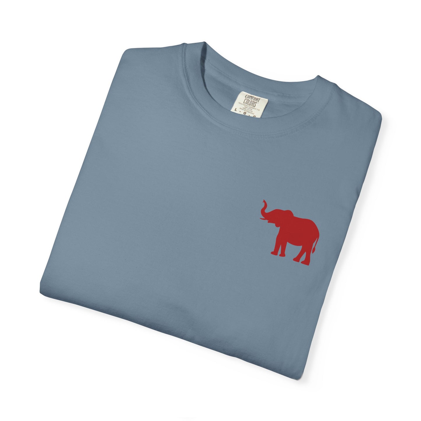Comfort Colors Quad Alabama Tailgate Squad T-shirt