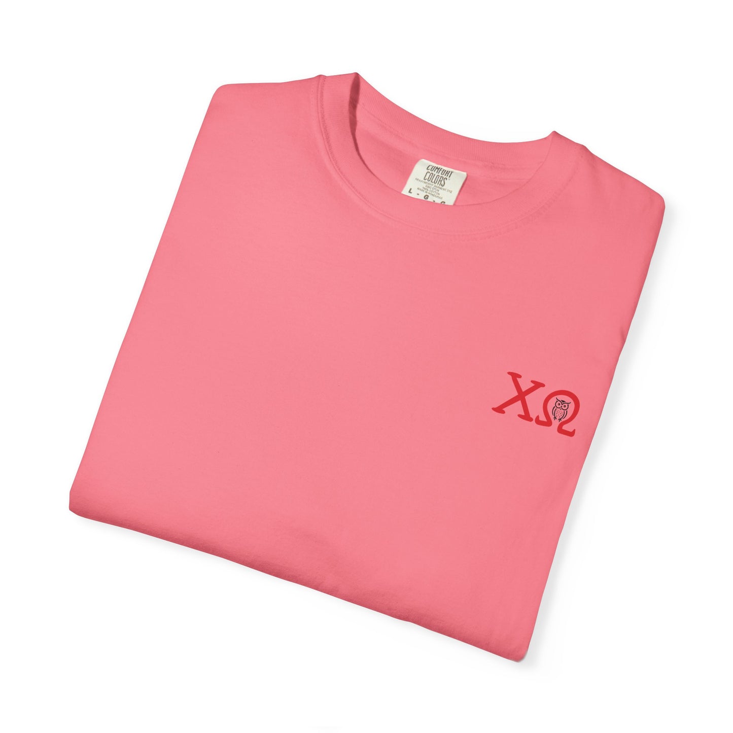 Chi Omega Sister T-Shirt, Sorority Apparel, College Tee, Garment-Dyed Shirt, Greek Life Merchandise, Casual Wear