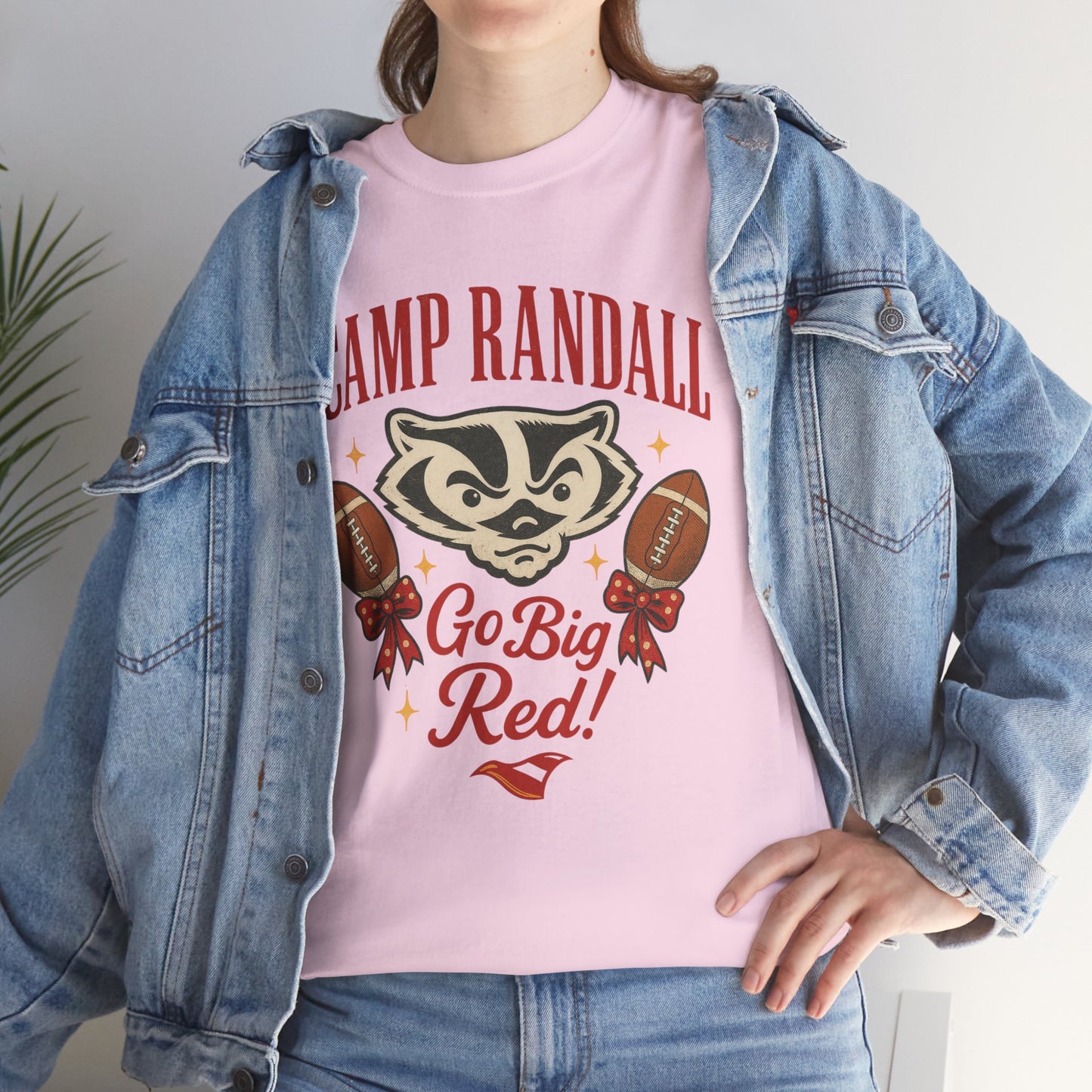 Camp Randall Unisex Tee, Wisconsin Badgers Game Day Shirt