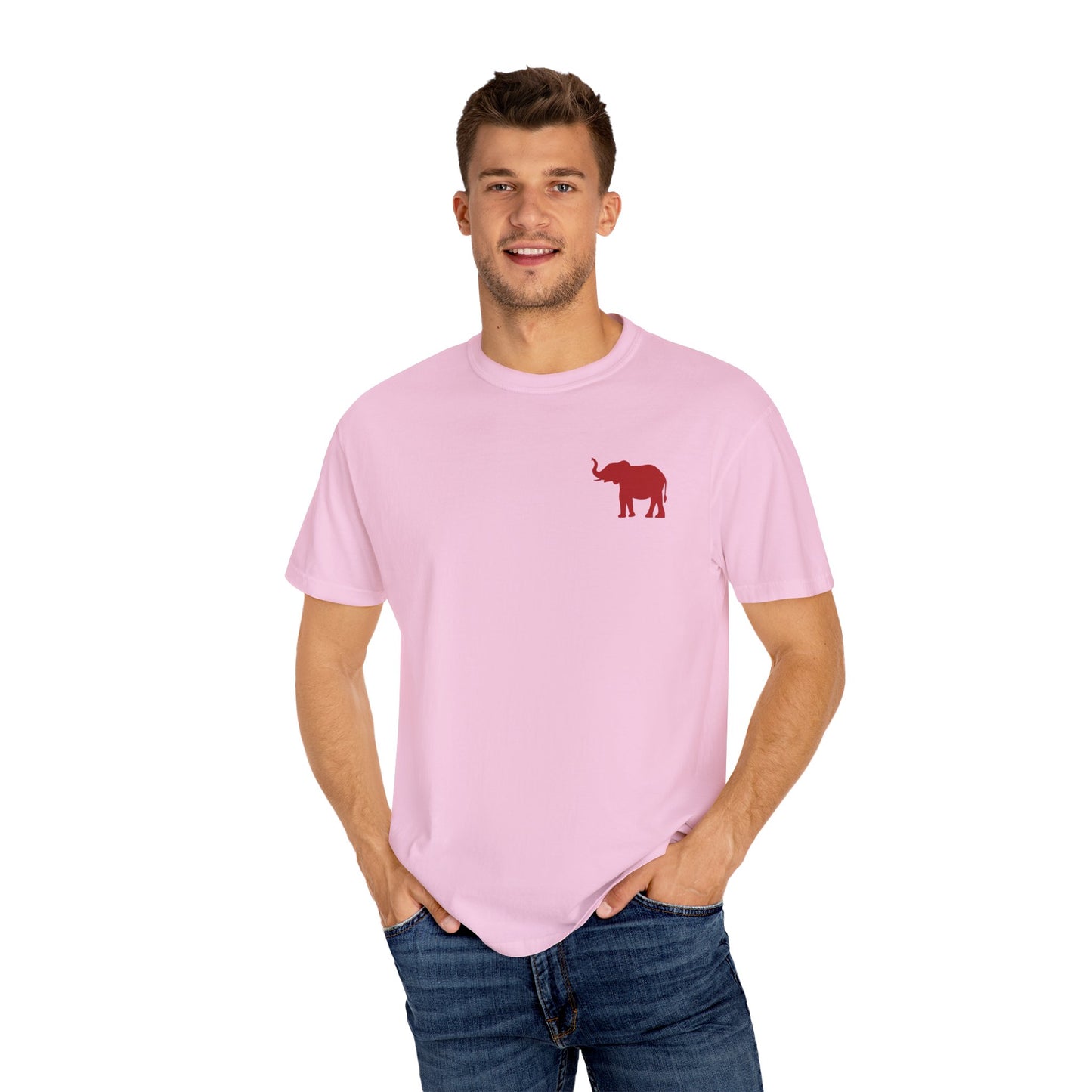 Comfort Colors Quad Alabama Tailgate Squad T-shirt