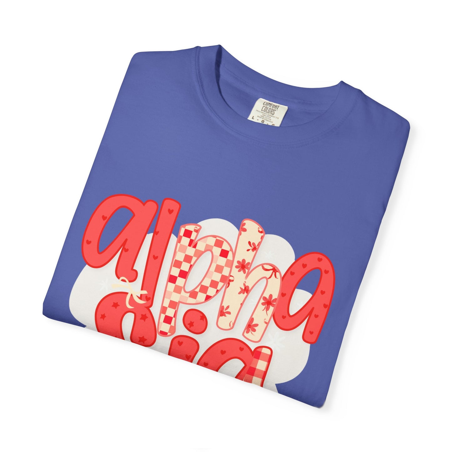 ASig Garment-Dyed T-Shirt