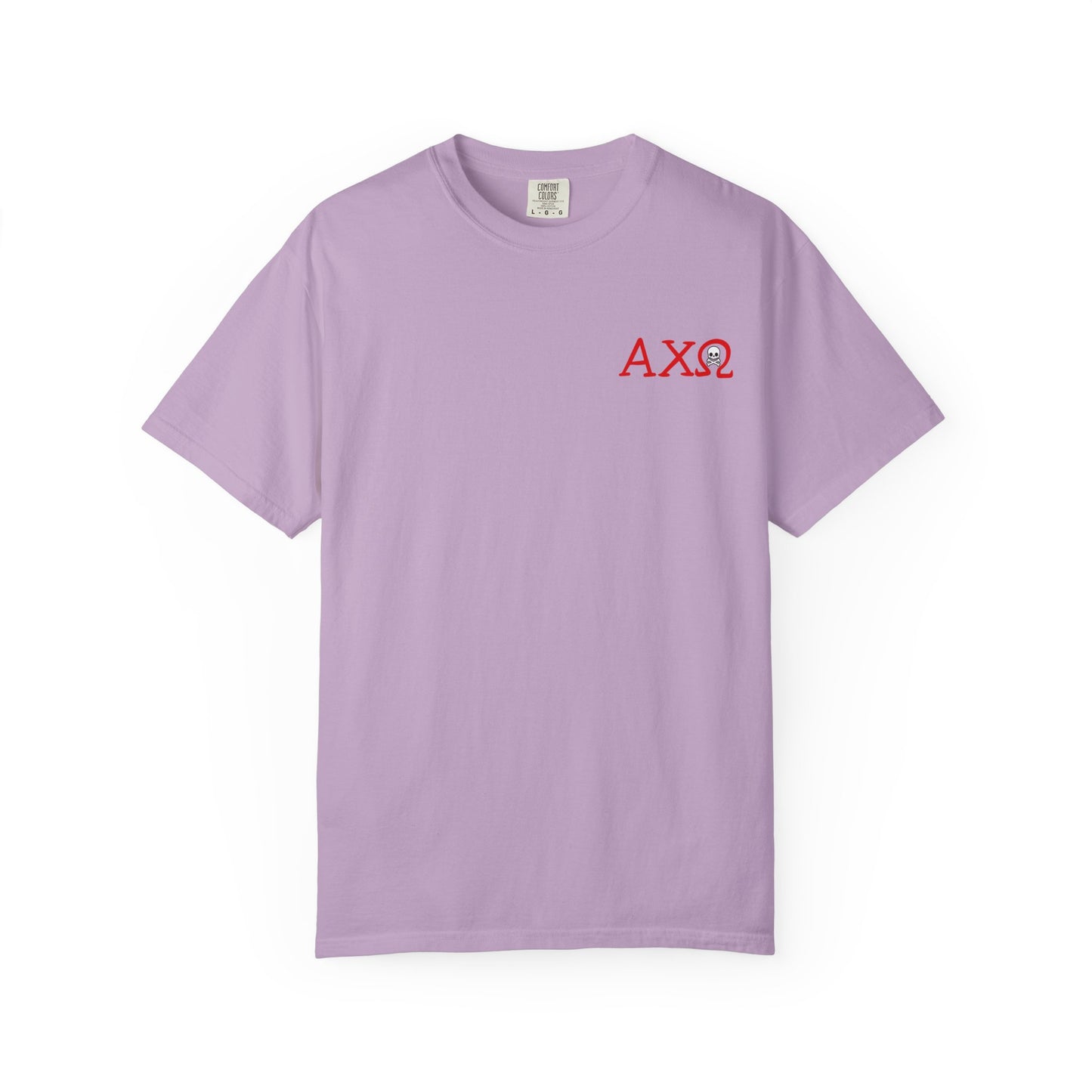 Alpha Chi Omega Garment-Dyed T-shirt, Unisex College Apparel, Sorority Shirt, Graduation Gift, Vintage Style Tee