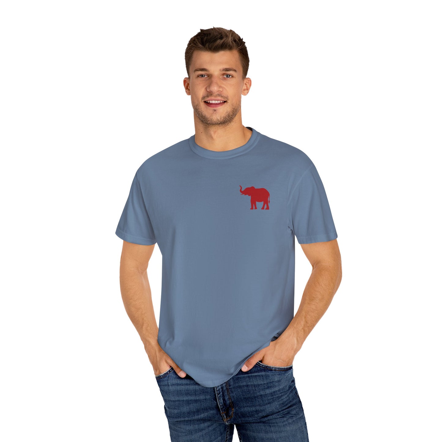 Comfort Colors Quad Alabama Tailgate Squad T-shirt