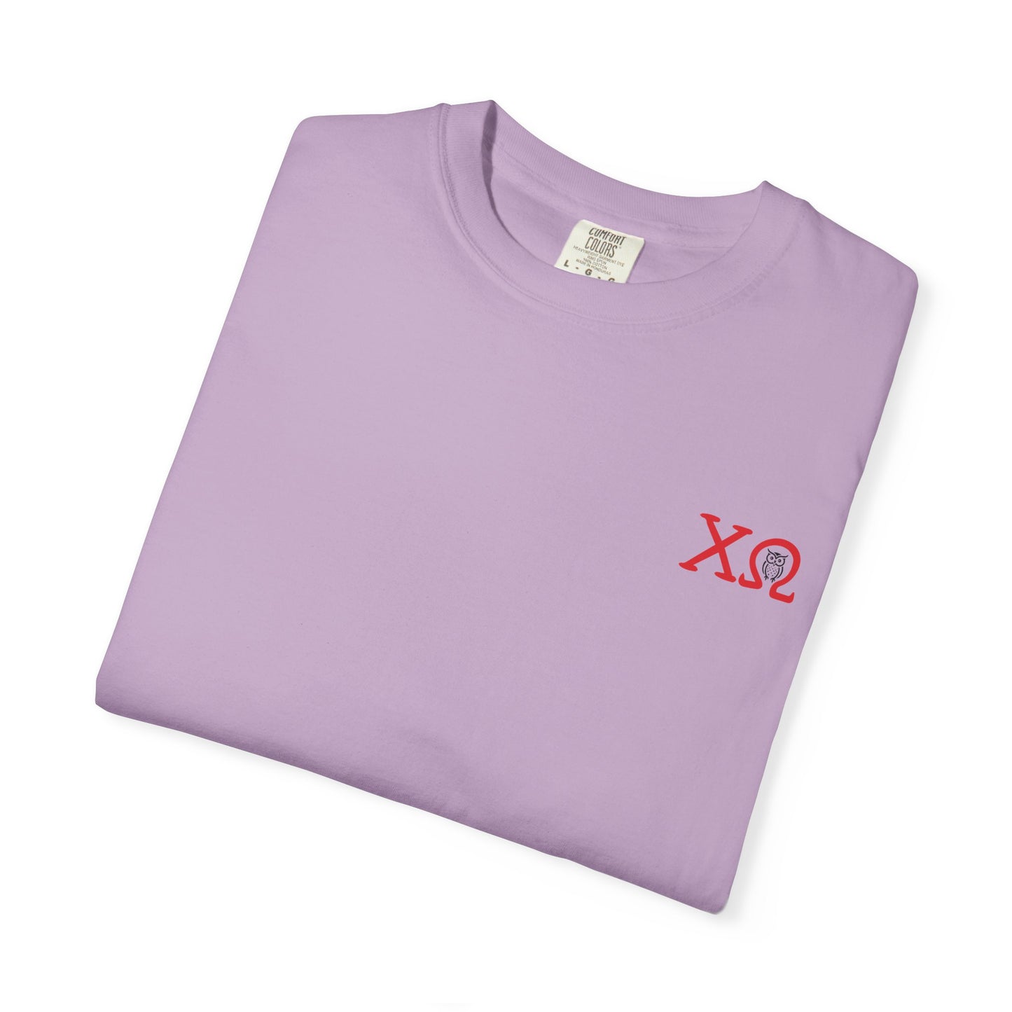 Chi Omega Sister T-Shirt, Sorority Apparel, College Tee, Garment-Dyed Shirt, Greek Life Merchandise, Casual Wear