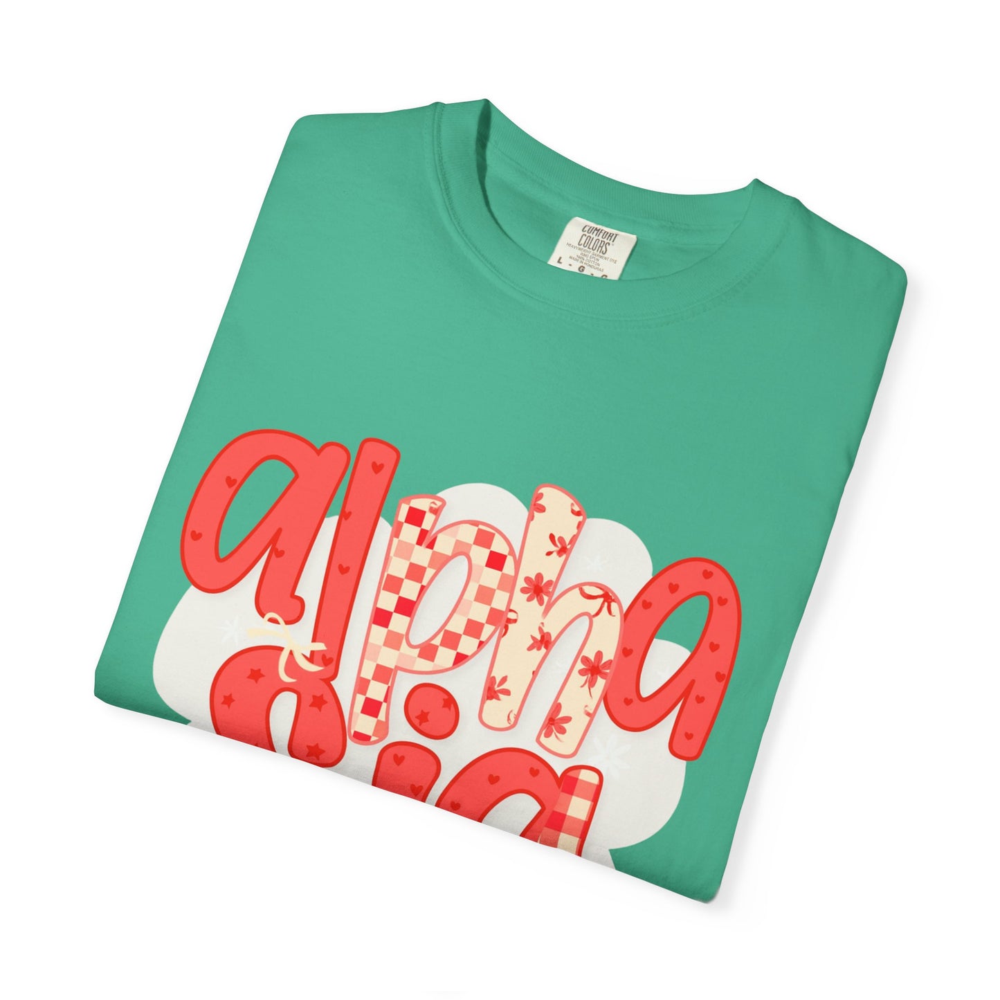 ASig Garment-Dyed T-Shirt