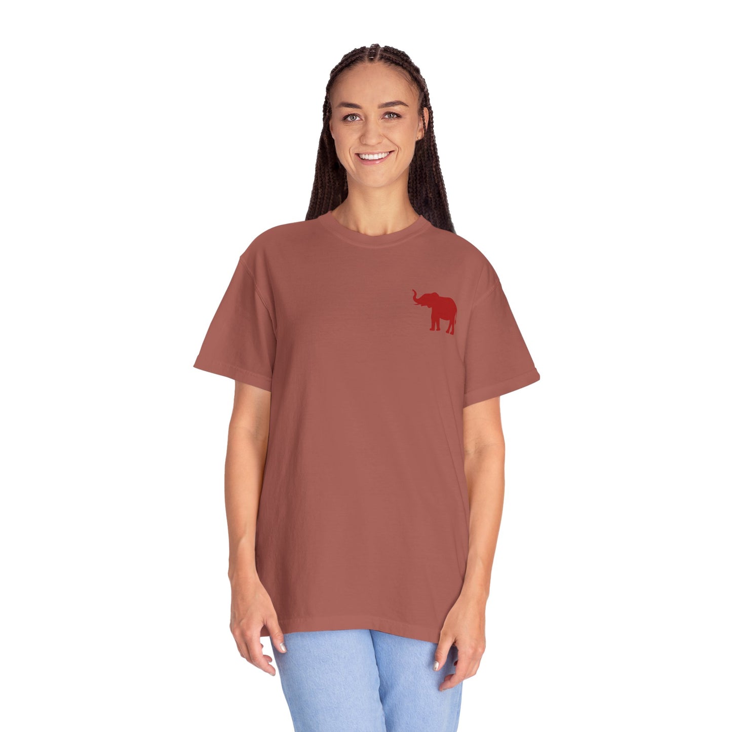 Comfort Colors Quad Alabama Tailgate Squad T-shirt