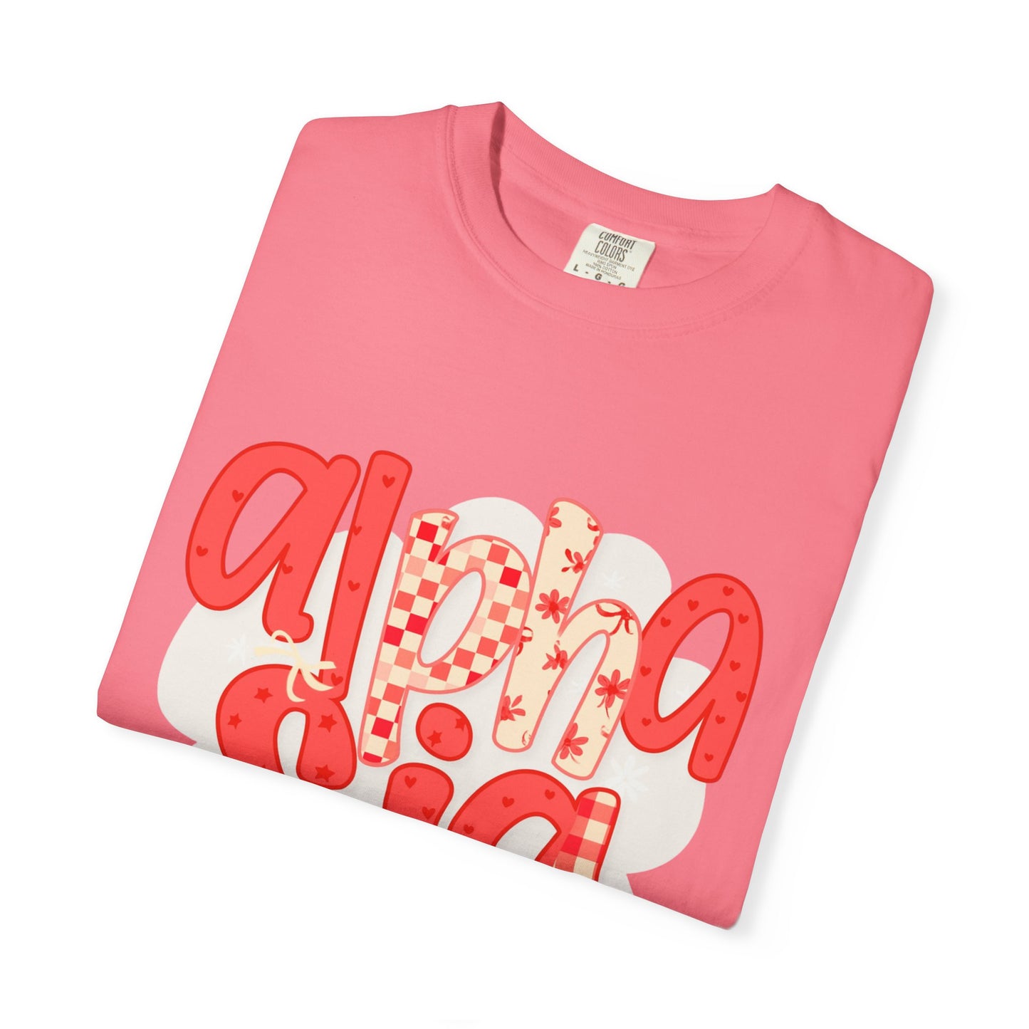 ASig Garment-Dyed T-Shirt