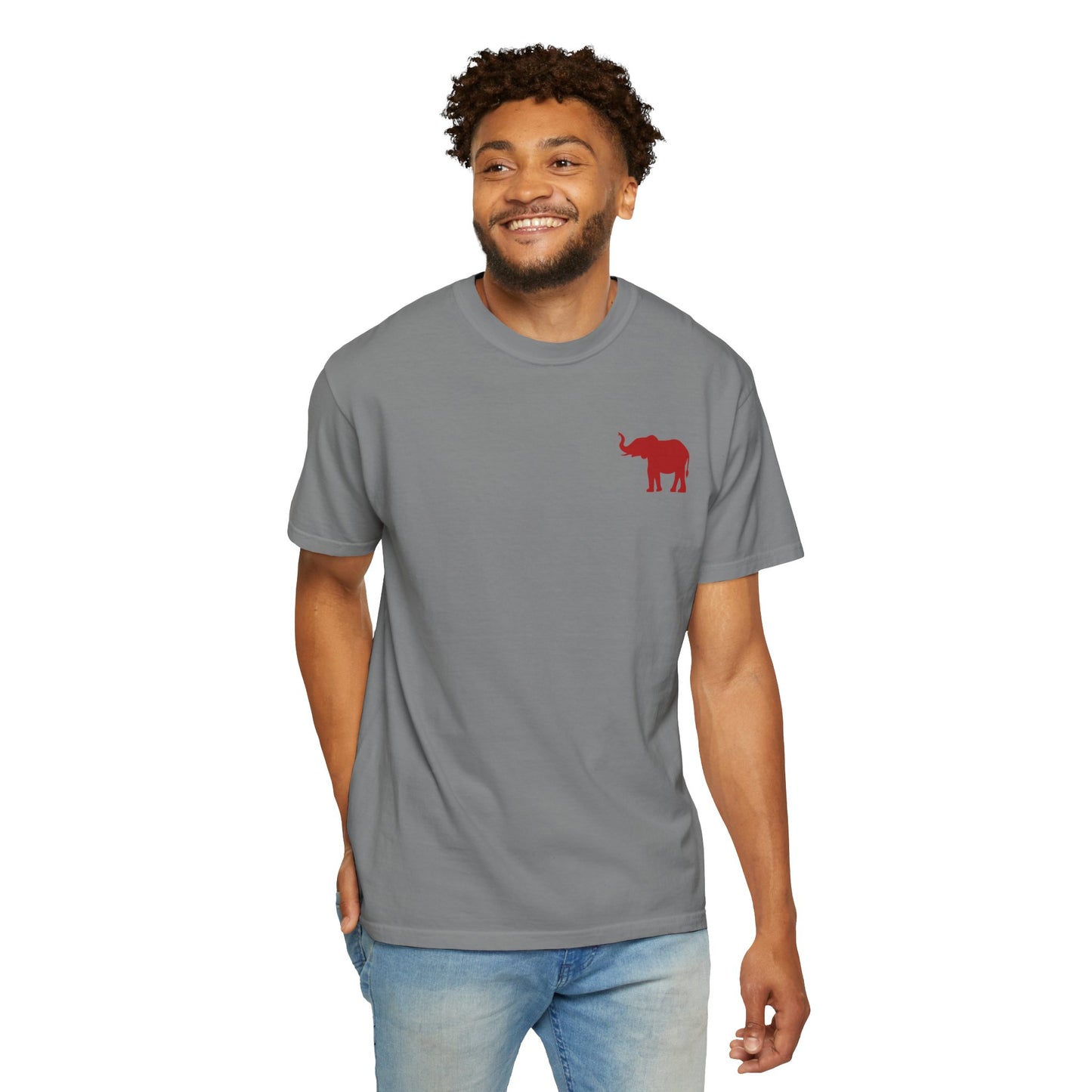 Comfort Colors Quad Alabama Tailgate Squad T-shirt