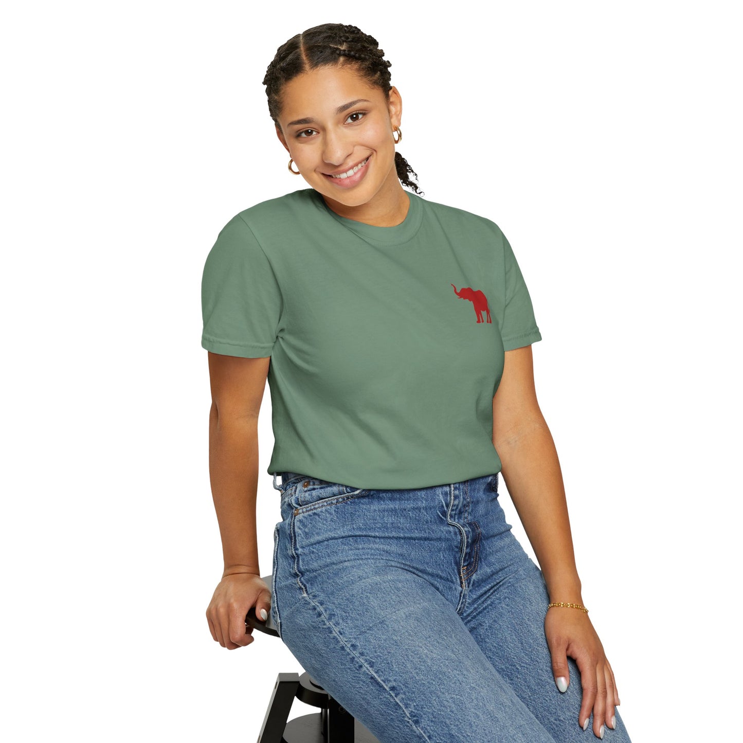 Comfort Colors Quad Alabama Tailgate Squad T-shirt