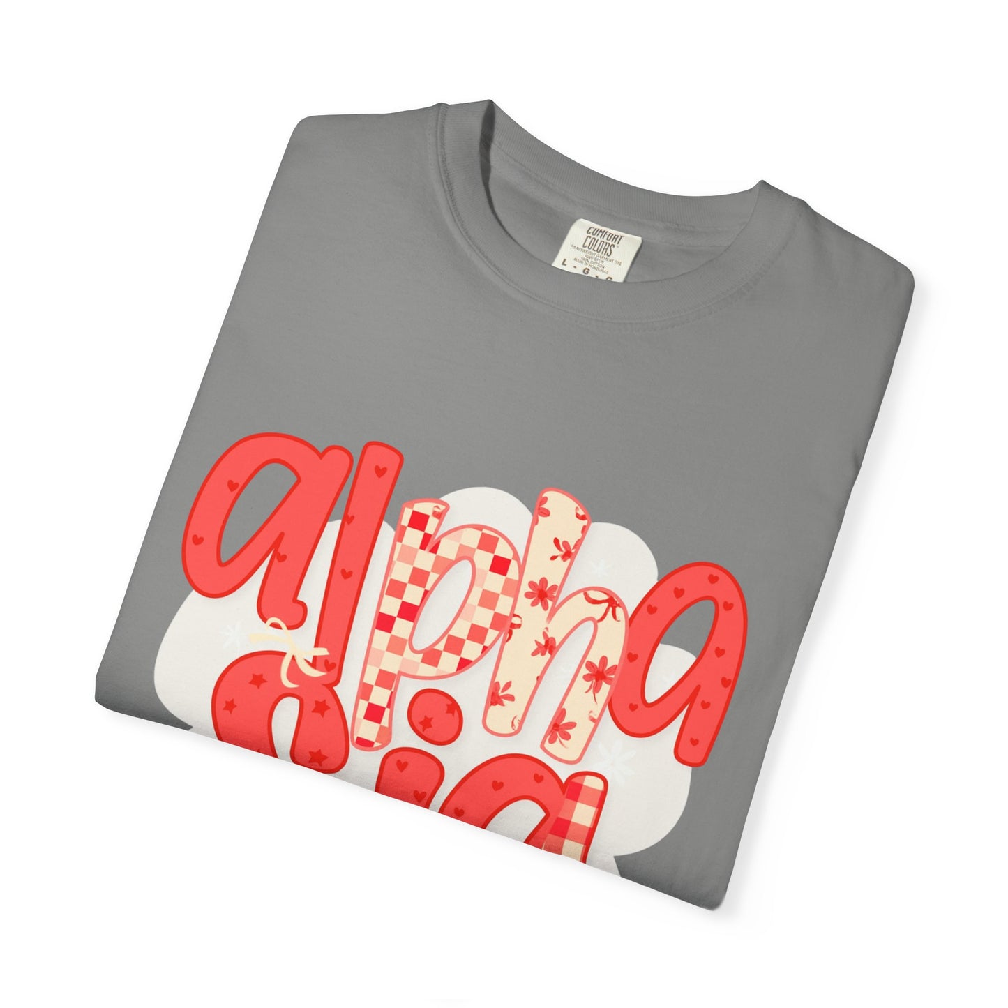 ASig Garment-Dyed T-Shirt