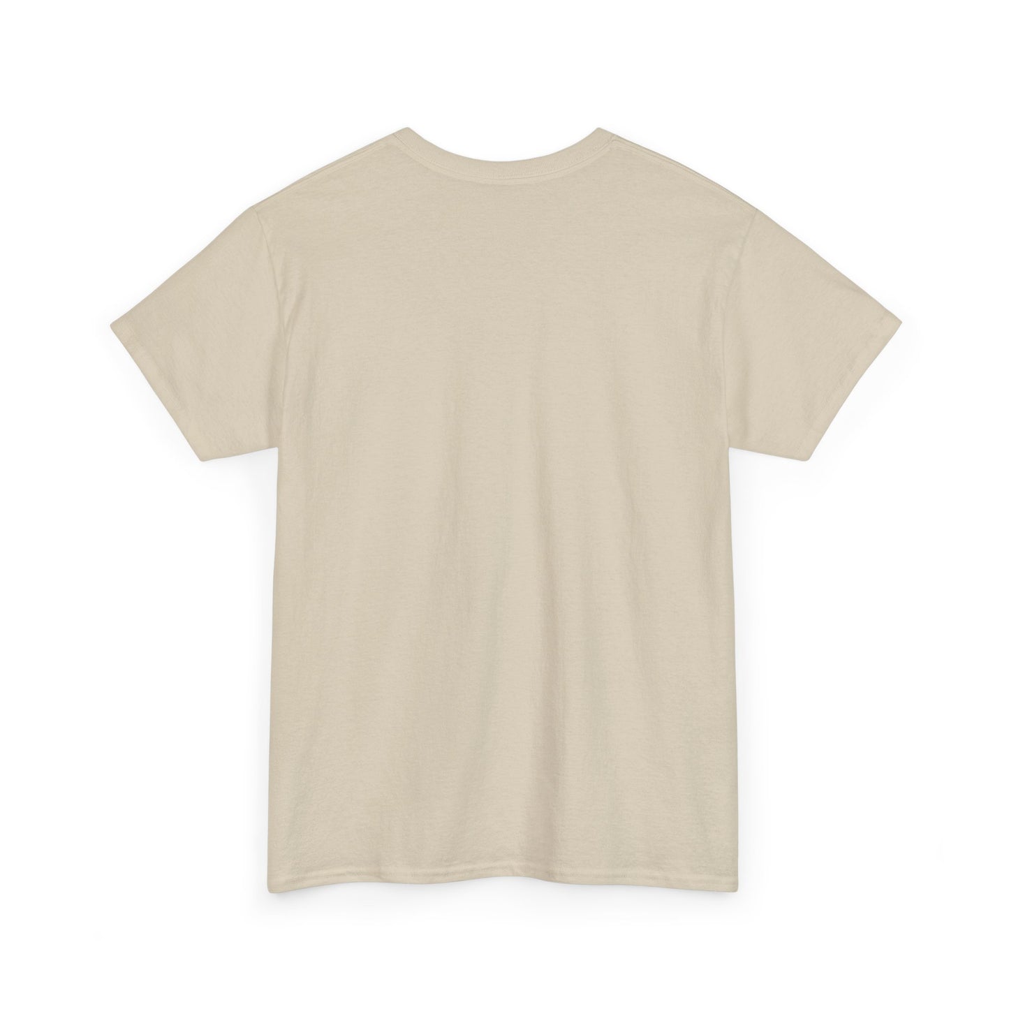 Camp Randall Unisex Tee, Wisconsin Badgers Game Day Shirt