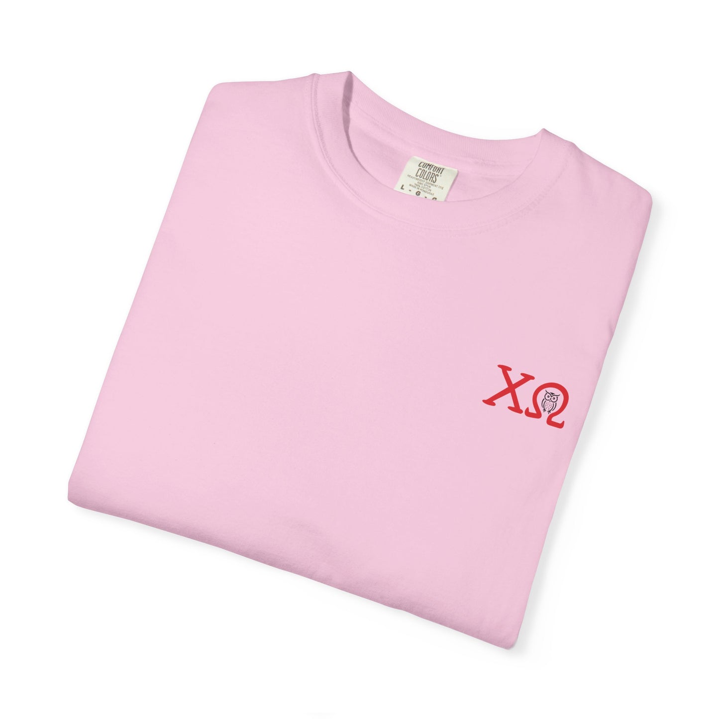 Chi Omega Sister T-Shirt, Sorority Apparel, College Tee, Garment-Dyed Shirt, Greek Life Merchandise, Casual Wear