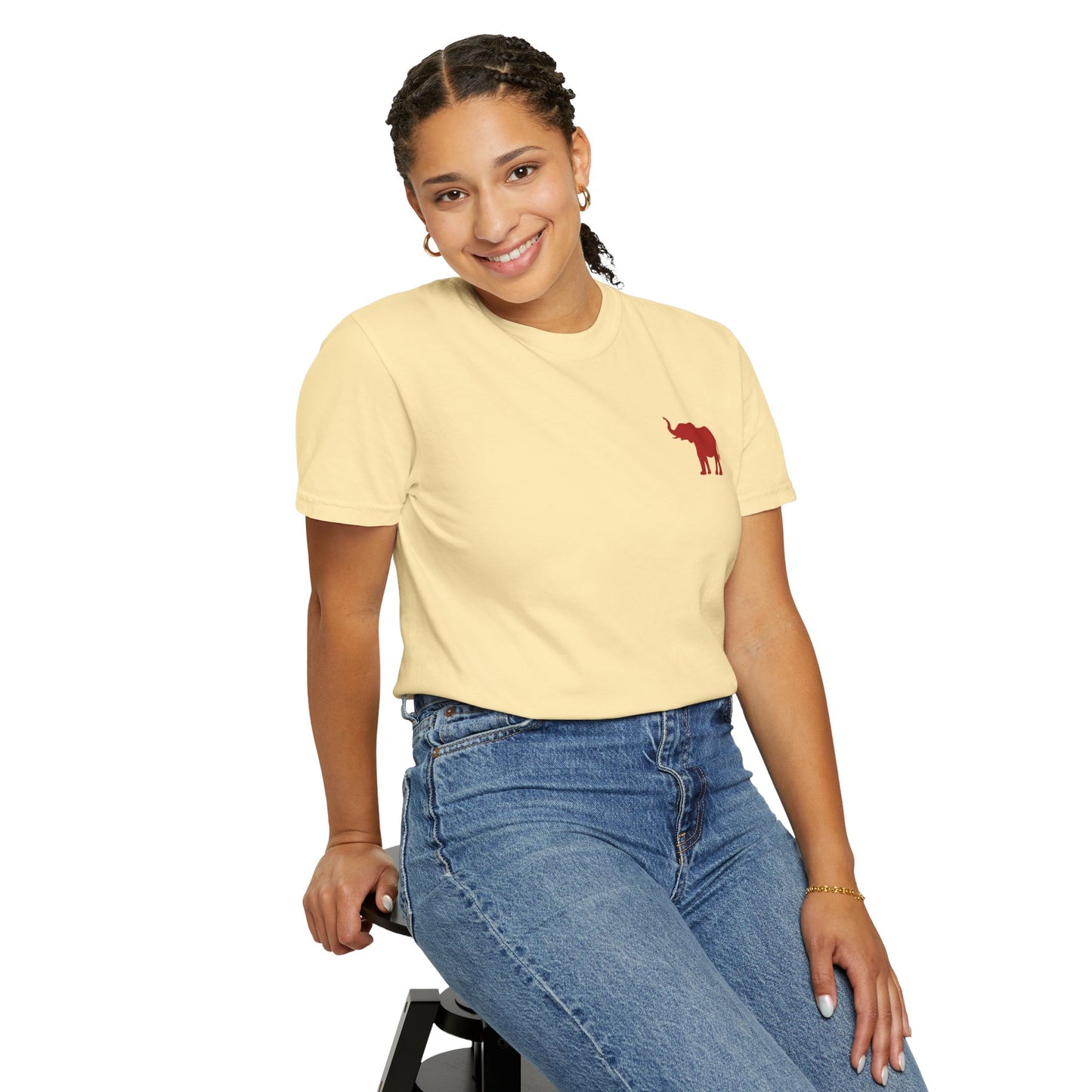 Comfort Colors Quad Alabama Tailgate Squad T-shirt