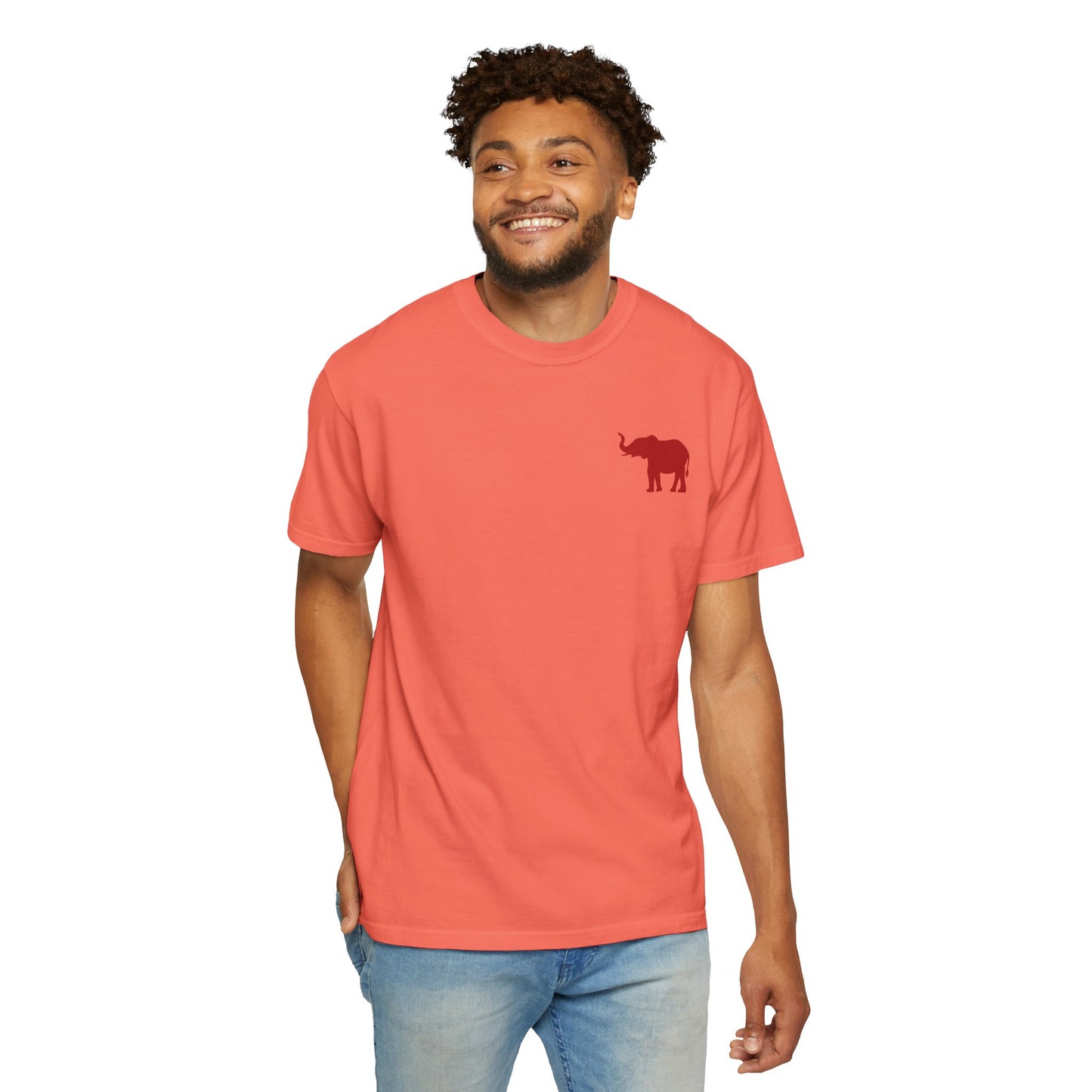Comfort Colors Quad Alabama Tailgate Squad T-shirt