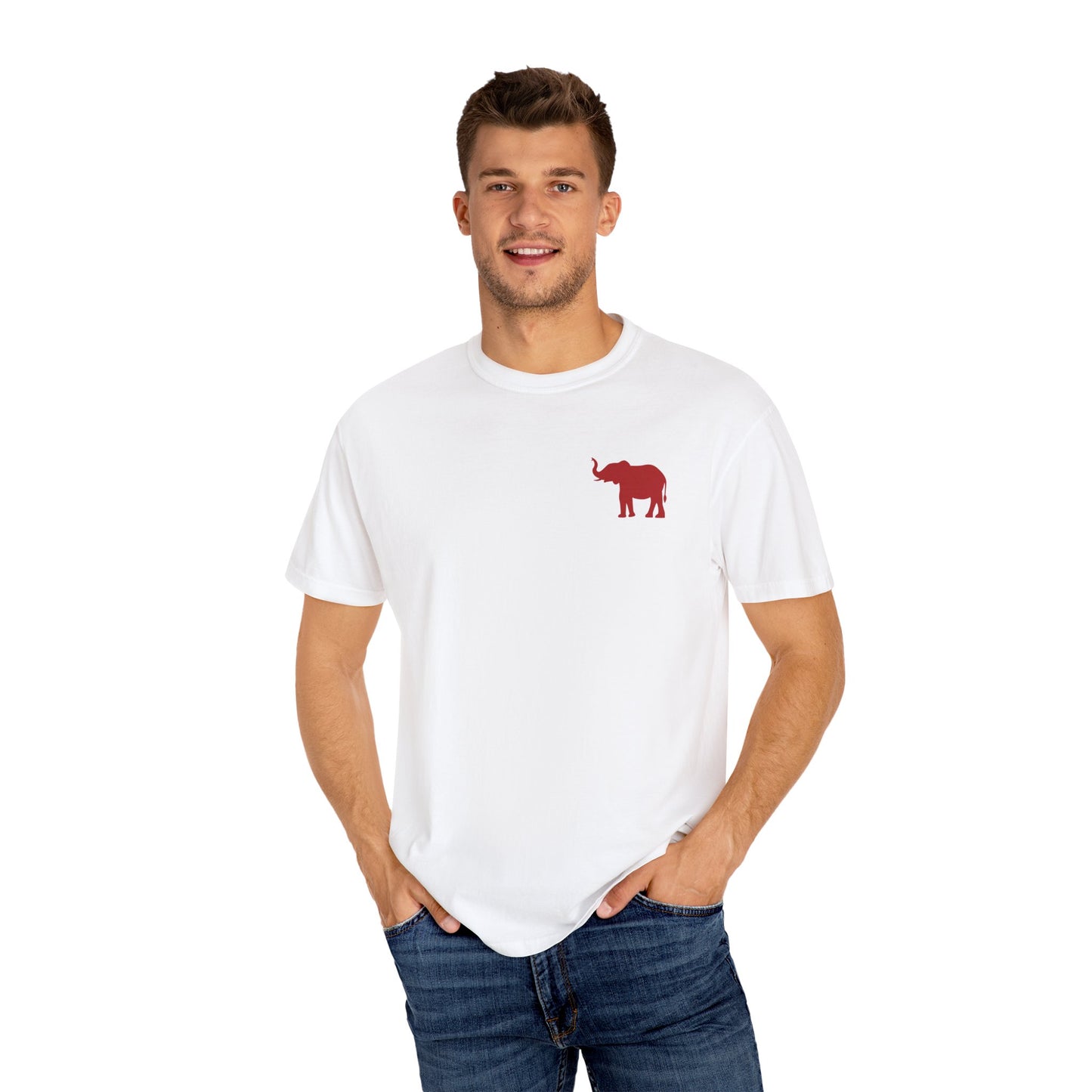 Comfort Colors Quad Alabama Tailgate Squad T-shirt