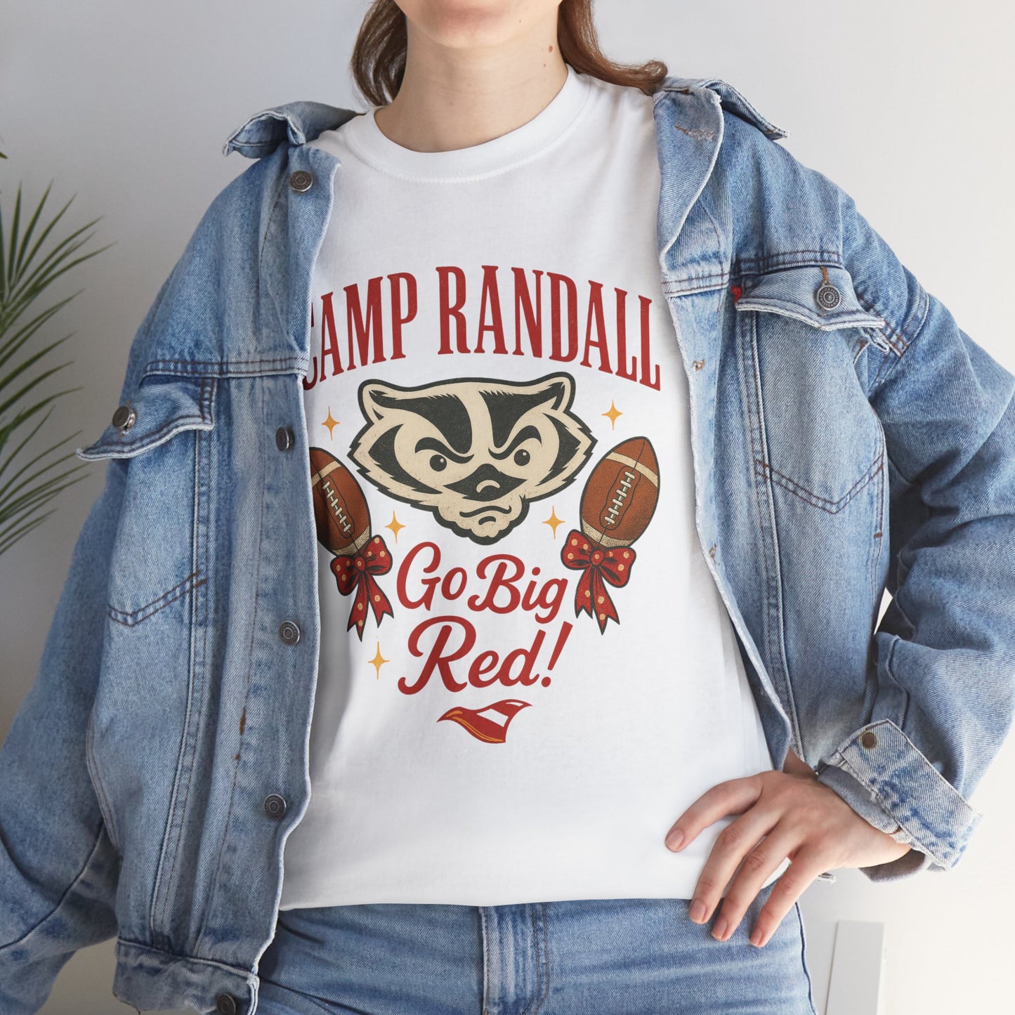 Camp Randall Unisex Tee, Wisconsin Badgers Game Day Shirt