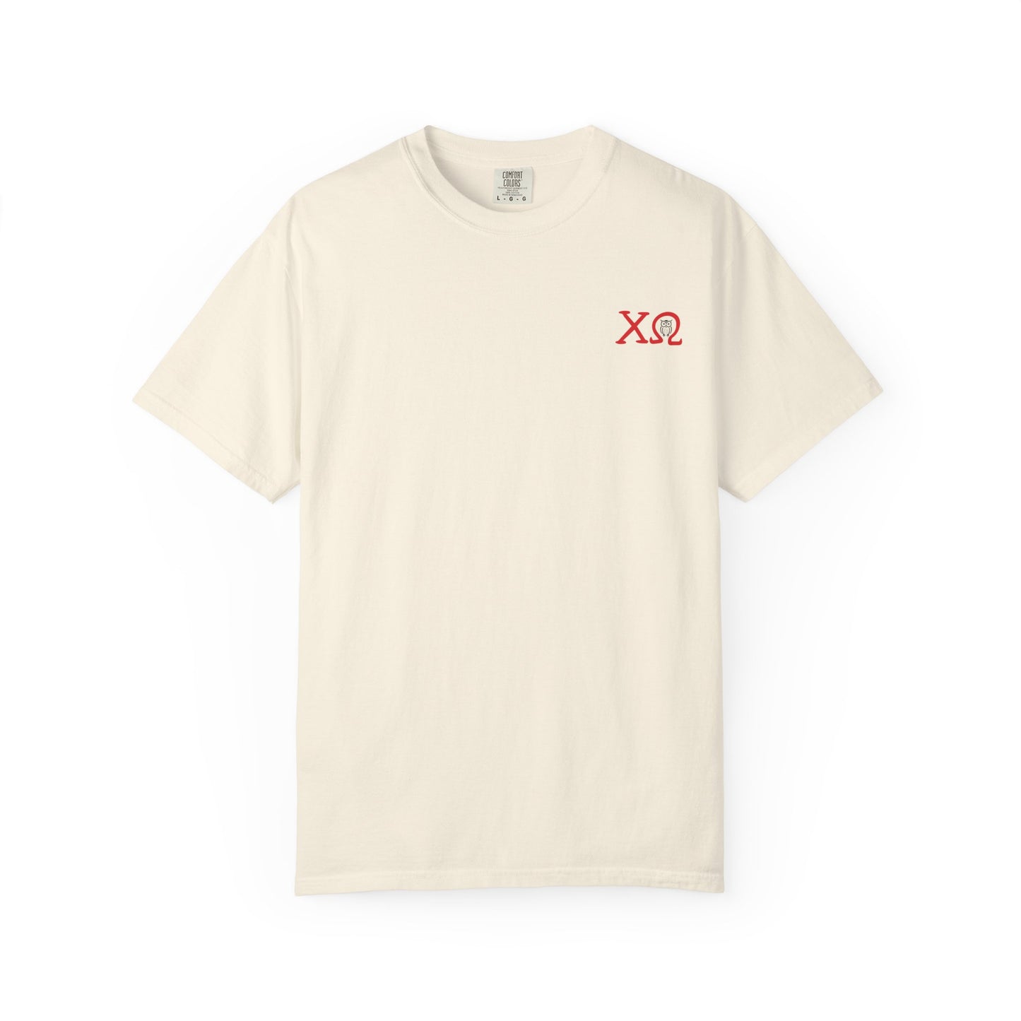 Chi Omega Sister T-Shirt, Sorority Apparel, College Tee, Garment-Dyed Shirt, Greek Life Merchandise, Casual Wear
