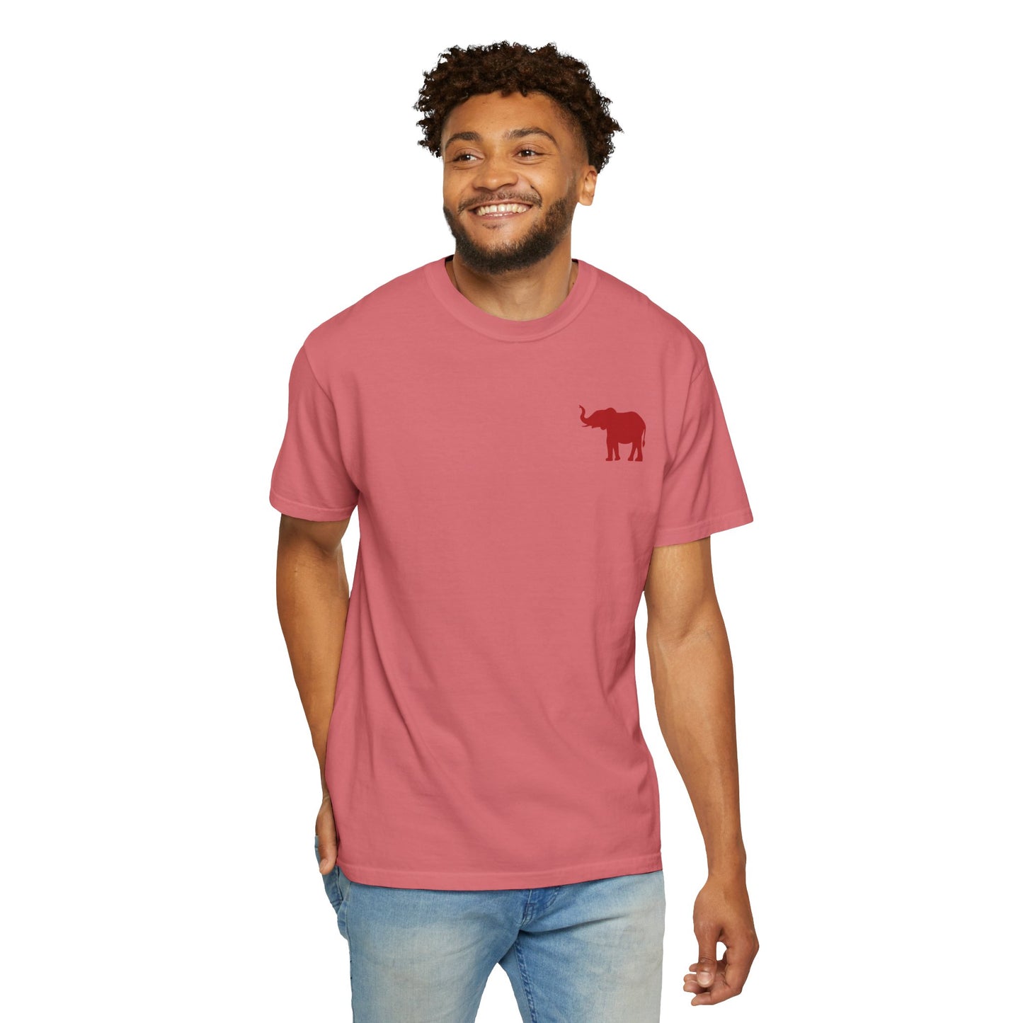 Comfort Colors Quad Alabama Tailgate Squad T-shirt