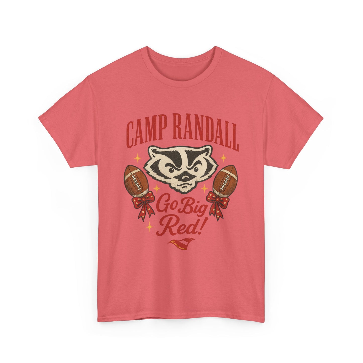 Camp Randall Unisex Tee, Wisconsin Badgers Game Day Shirt
