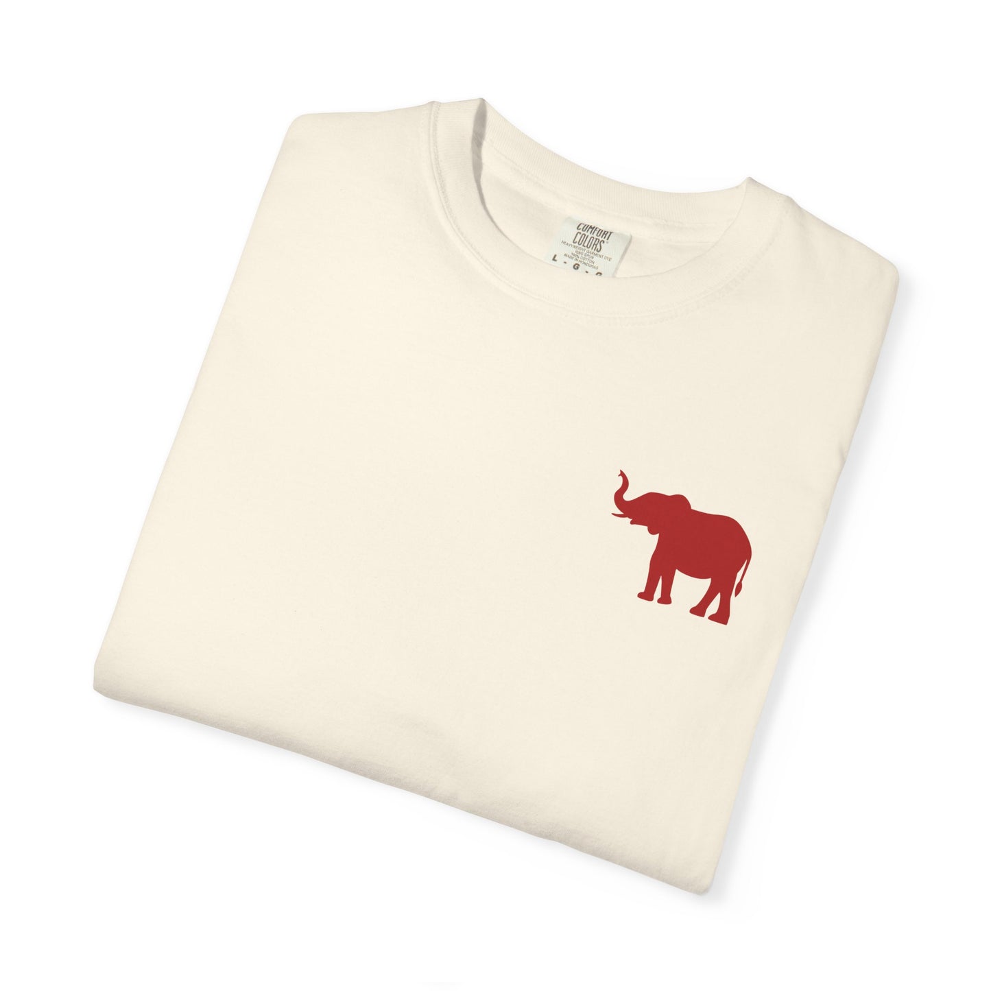 Comfort Colors Quad Alabama Tailgate Squad T-shirt