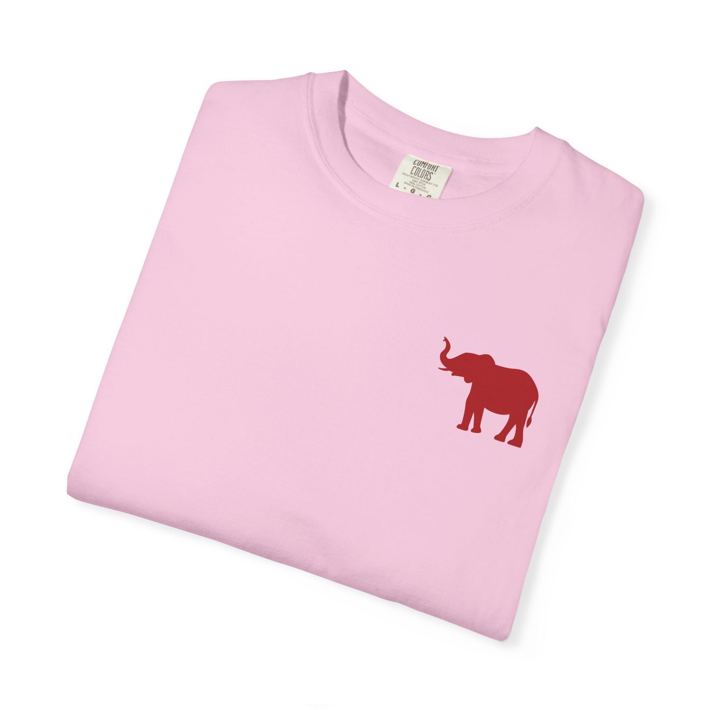 Comfort Colors Quad Alabama Tailgate Squad T-shirt