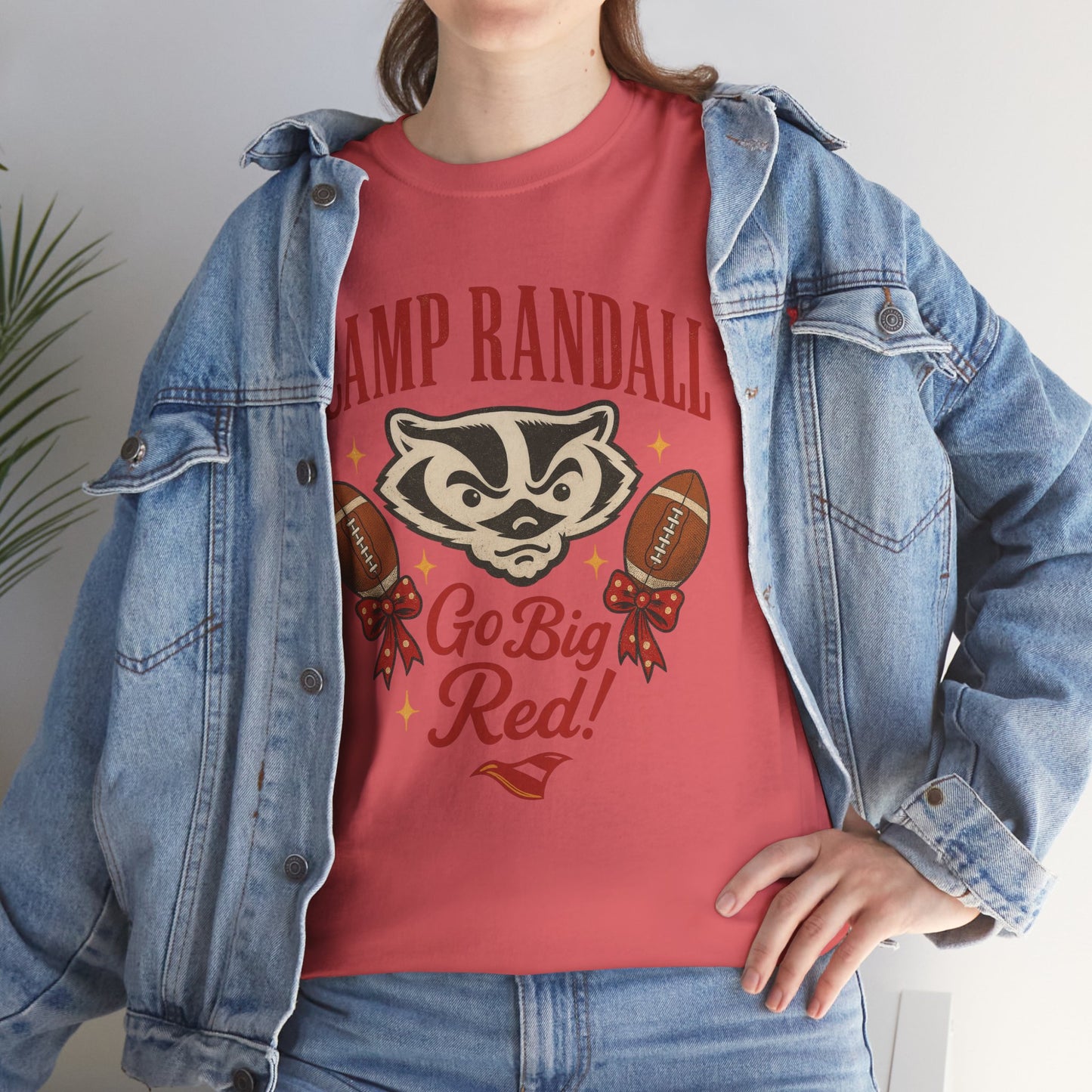 Camp Randall Unisex Tee, Wisconsin Badgers Game Day Shirt