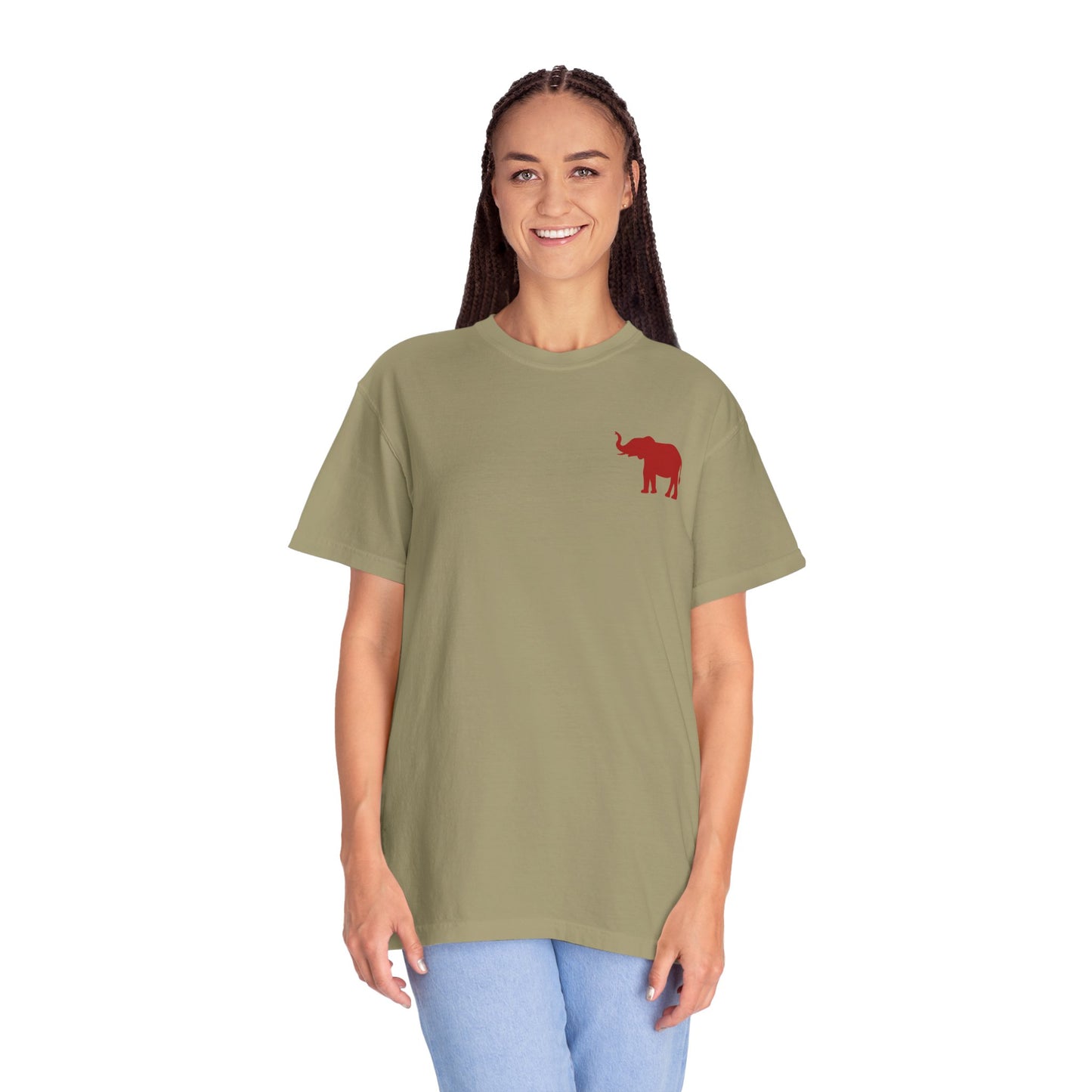 Comfort Colors Quad Alabama Tailgate Squad T-shirt