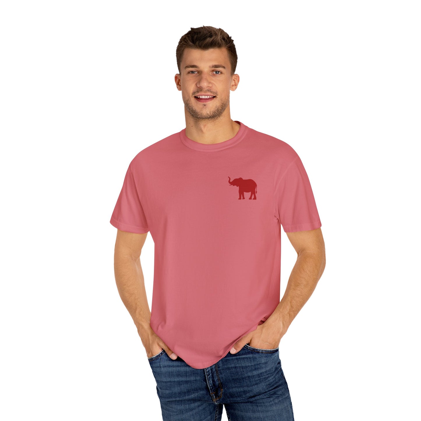 Comfort Colors Quad Alabama Tailgate Squad T-shirt