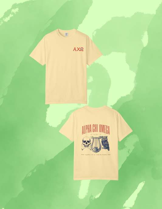 Alpha Chi Omega Garment-Dyed T-shirt, Unisex College Apparel, Sorority Shirt, Graduation Gift, Vintage Style Tee