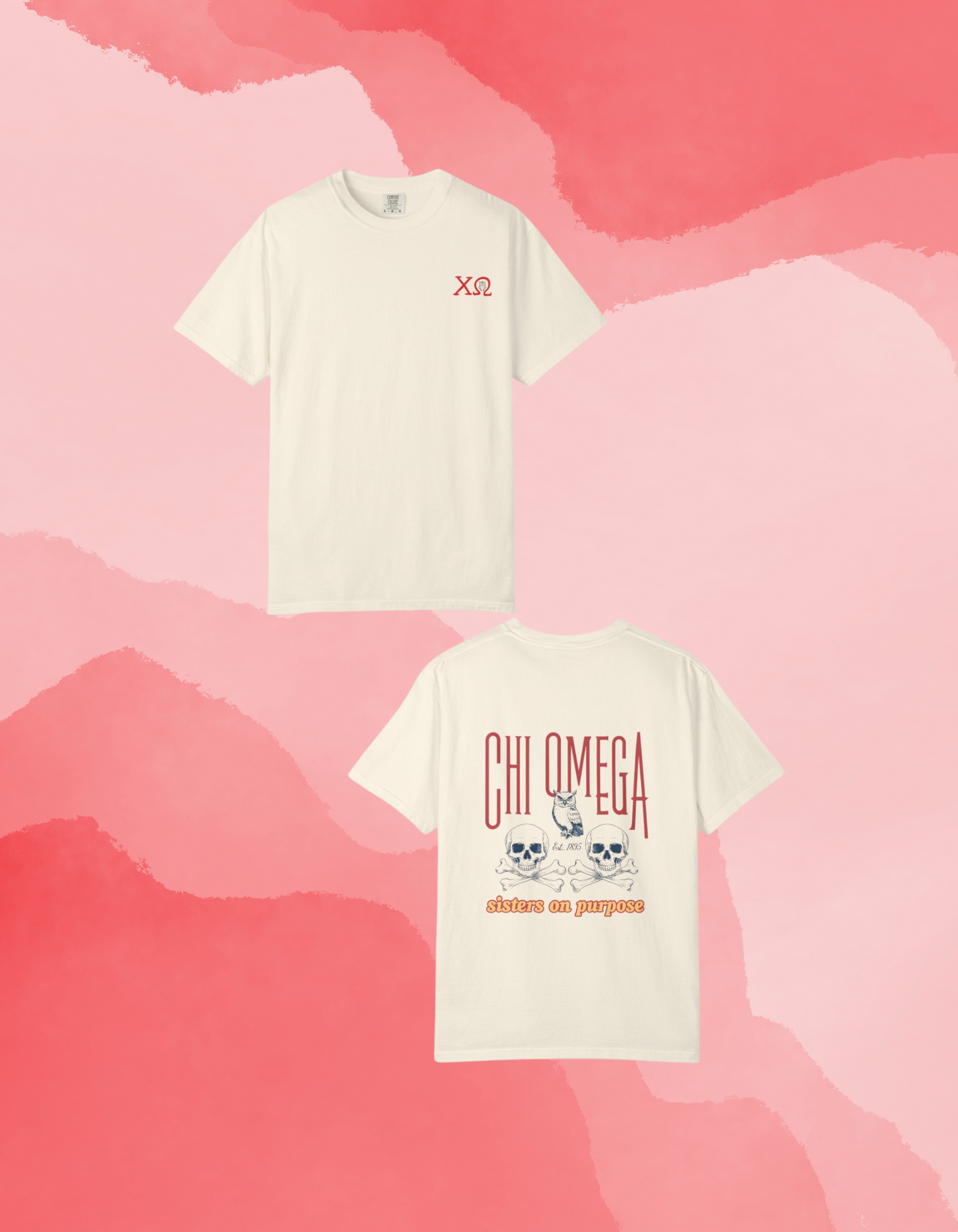 Chi Omega Sister T-Shirt, Sorority Apparel, College Tee, Garment-Dyed Shirt, Greek Life Merchandise, Casual Wear
