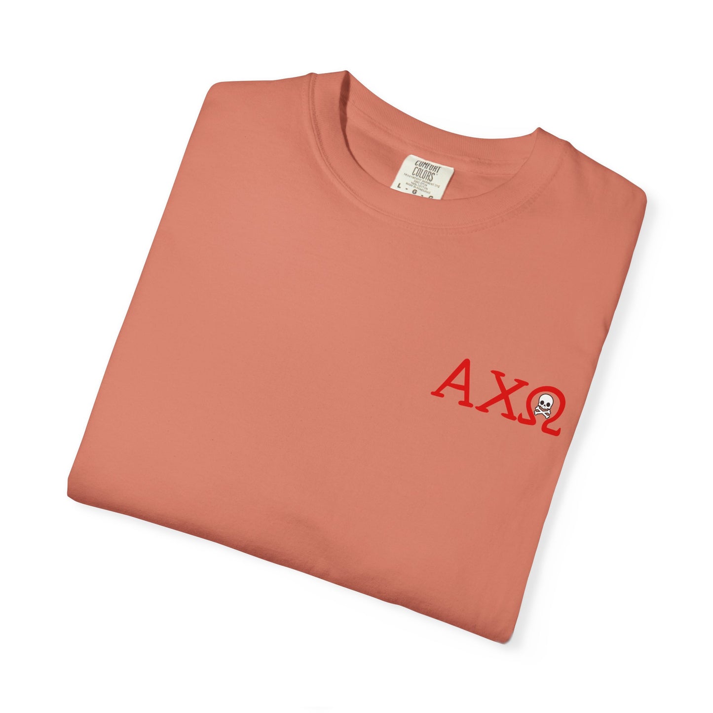 Alpha Chi Omega Garment-Dyed T-shirt, Unisex College Apparel, Sorority Shirt, Graduation Gift, Vintage Style Tee